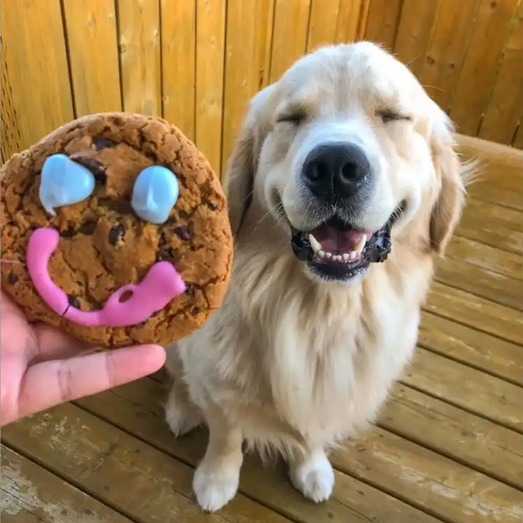 Linda Caron HGT and Mel Pockaj GTHS - Tim Horton's Smile Cookie Campaign wrap up episode artwork