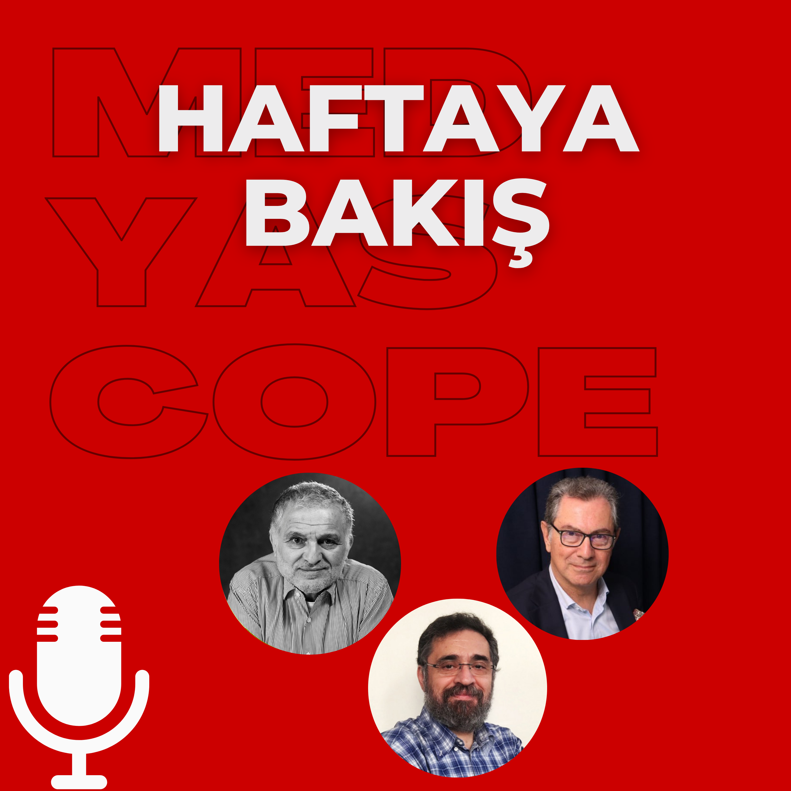 Roma tartışması | Sokak hayvanları: “Uyutmak” mı öldürmek mi?