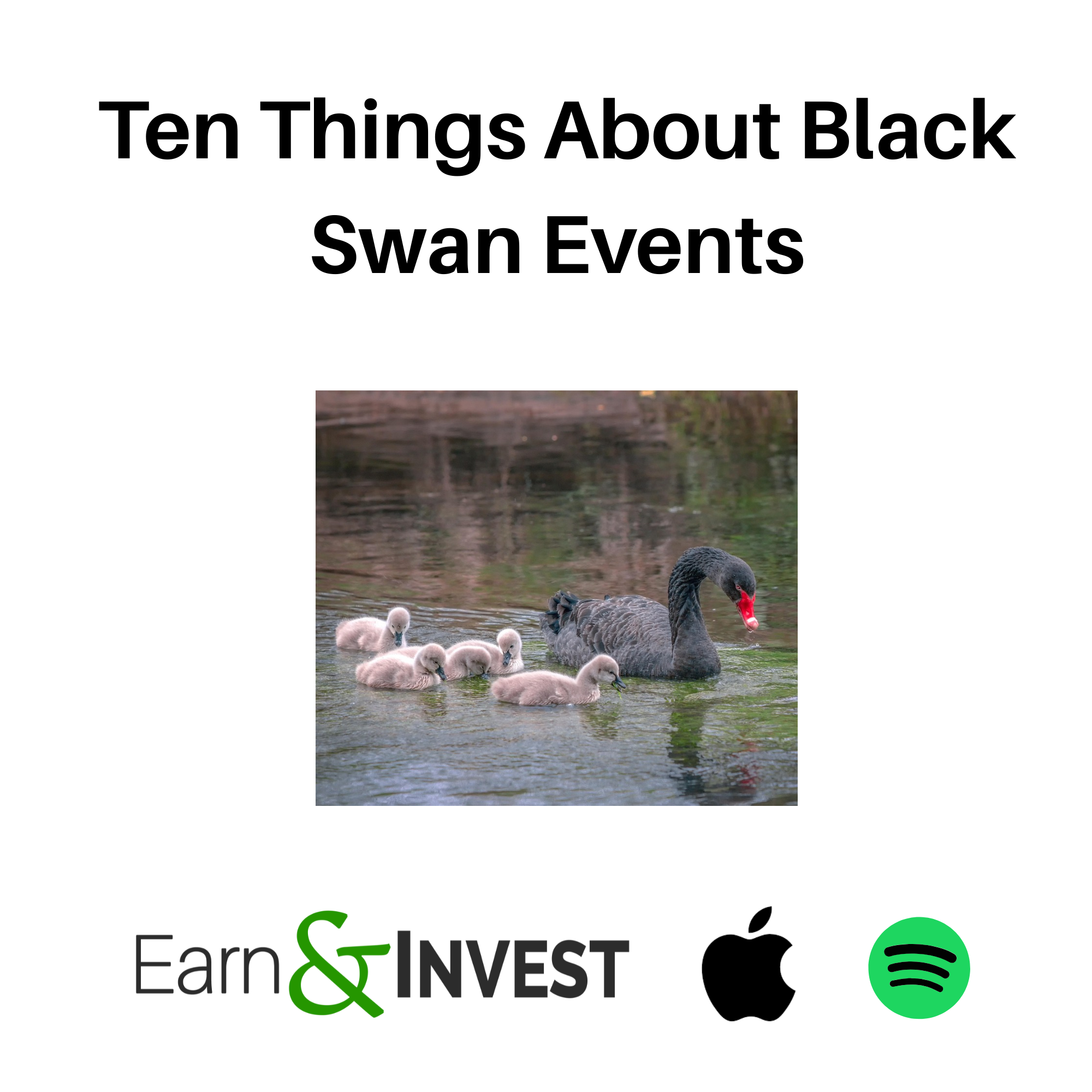 705. Ten Things About Black Swan Events