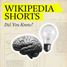 Wikipedia Shorts: Did You Know?