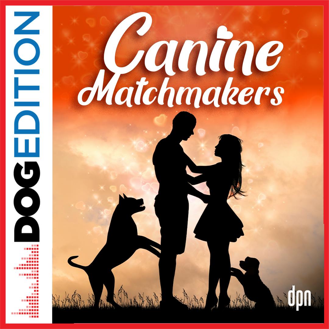Canine Matchmakers | Dog Edition #83 Canine Matchmakers | Dog Edition #83
