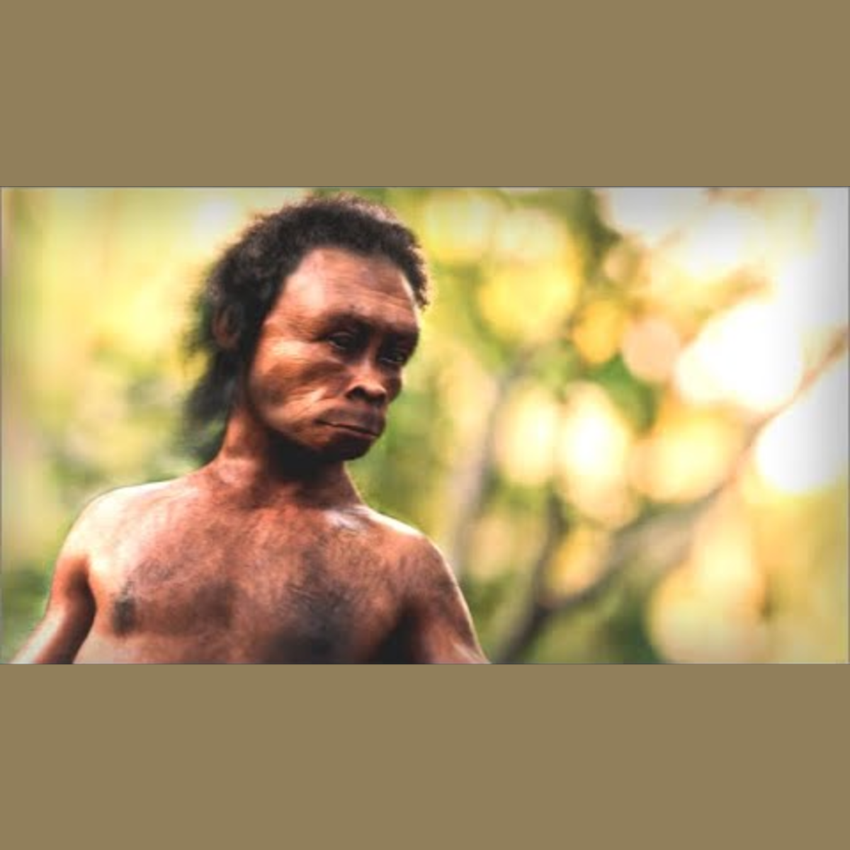 Homo Naledi - Ancient Human episode artwork