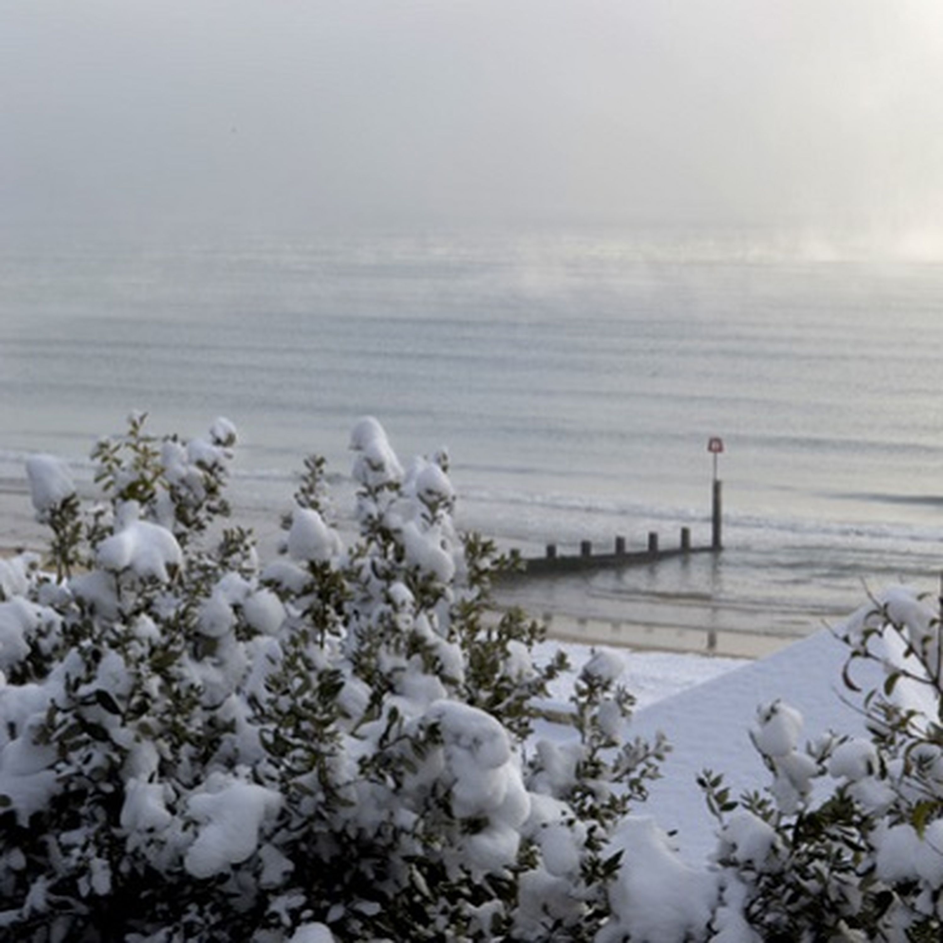 Bournemouth in Winter episode artwork