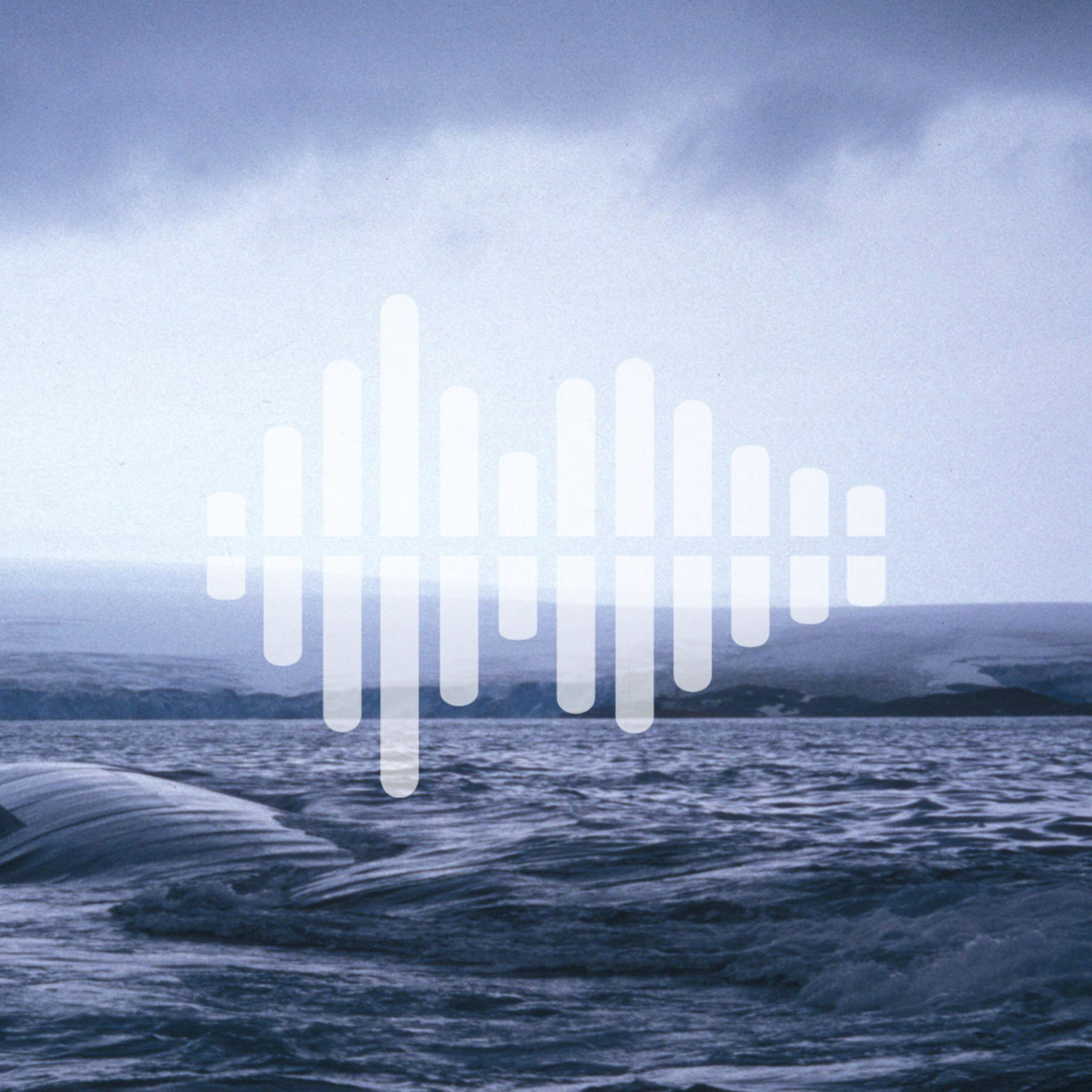 Building Africa’s Great Green Wall, and using whale songs as seismic probess