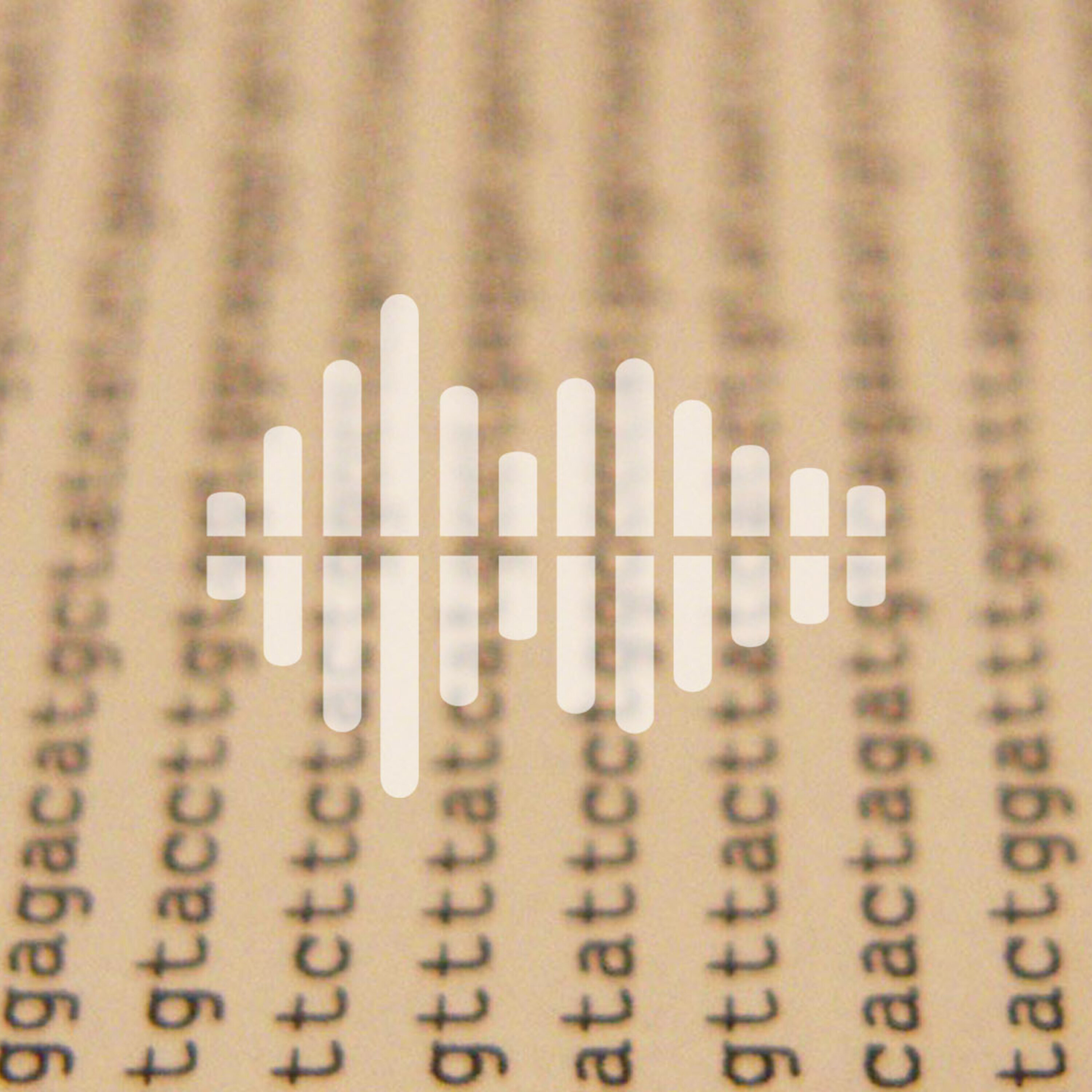 Looking back at 20 years of human genome sequencing