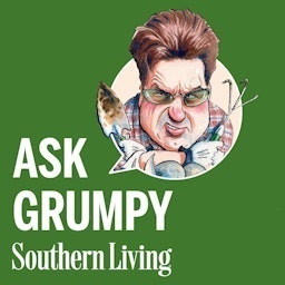 Ask Grumpy