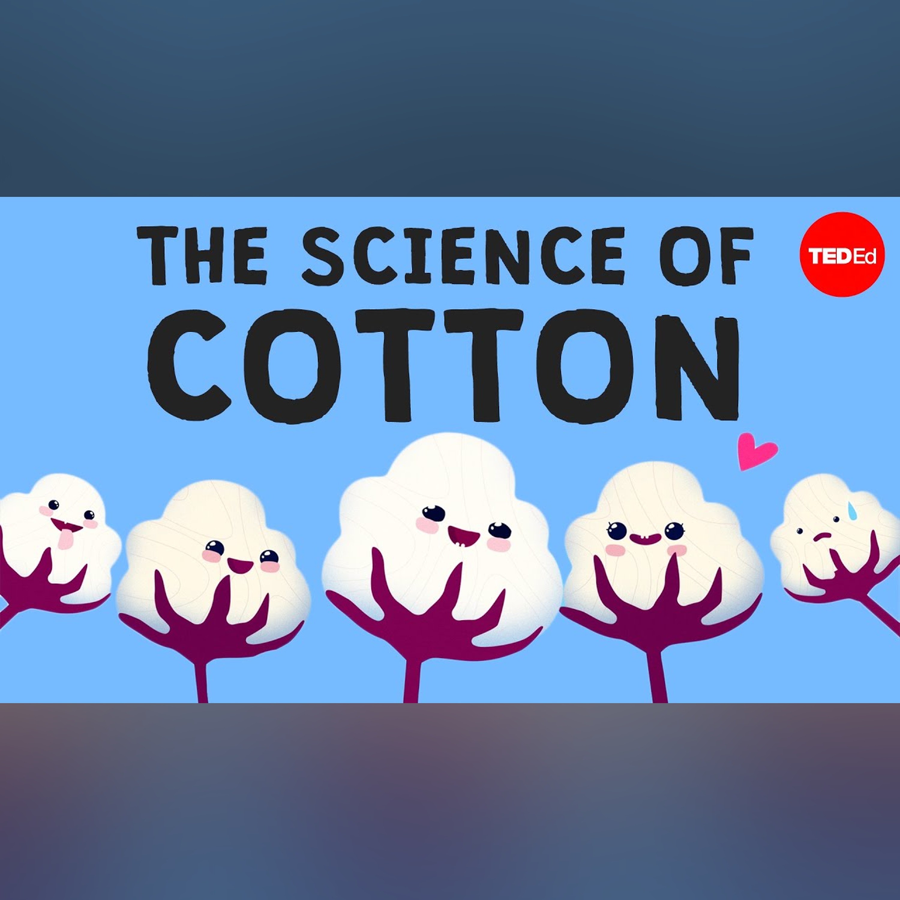 Why is cotton in everything? - Michael R. Stiff