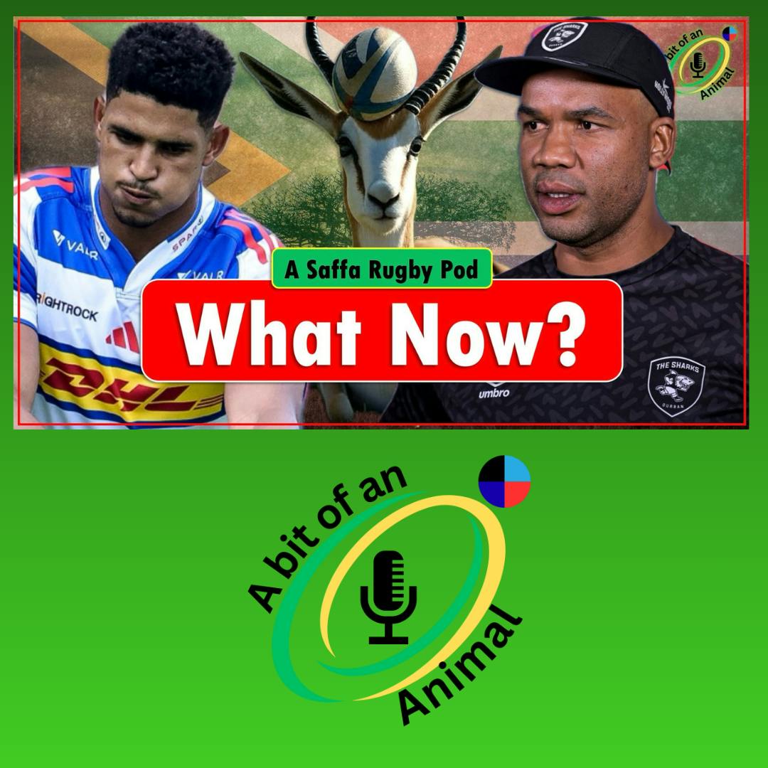 South Africa - 6 Nations - Discuss? - A bit of an Animal A South African Rugby Podcast South Africa - 6 Nations - Discuss? - A bit of an Animal A South African Rugby Podcast