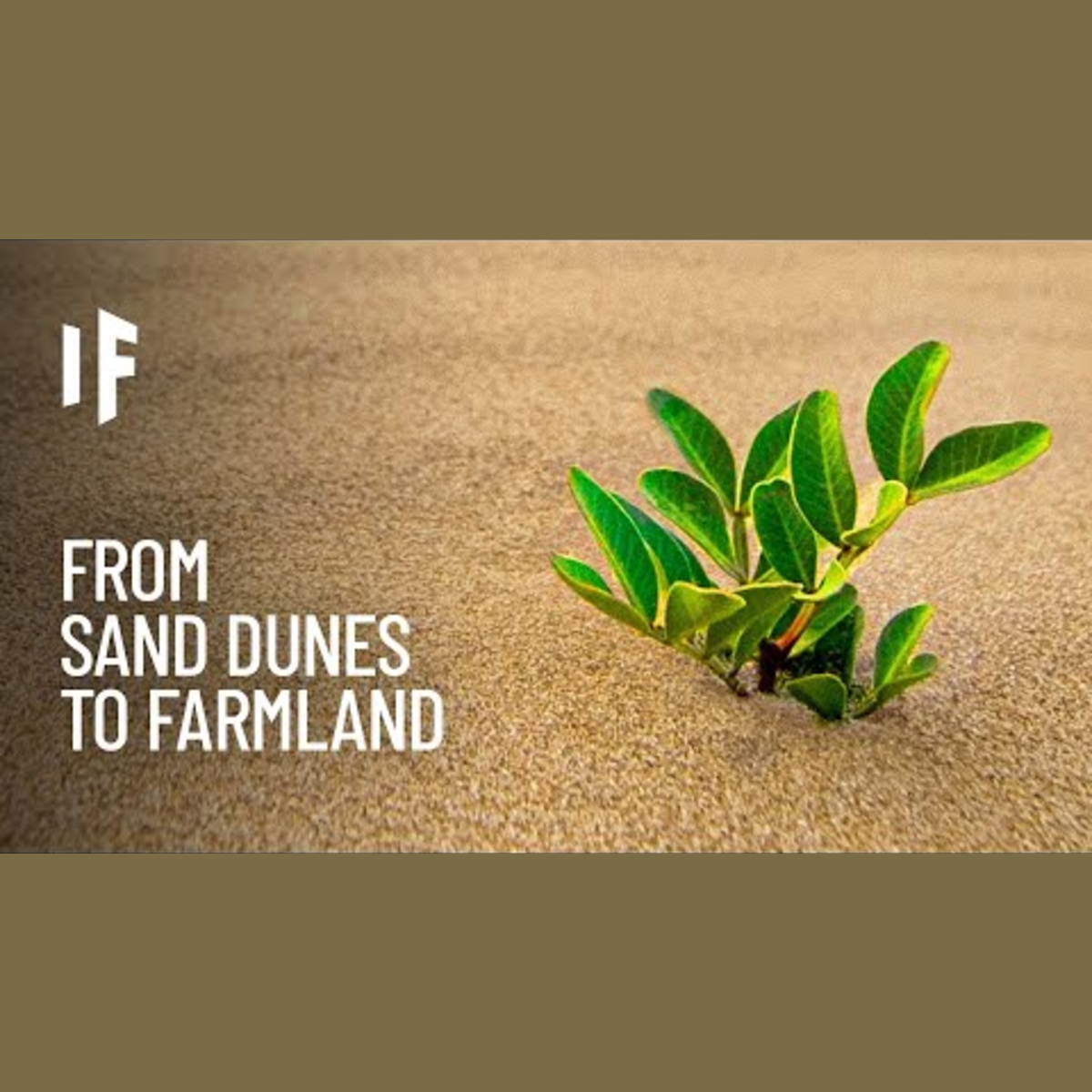 Can We Turn Deserts Into Farmland? episode artwork