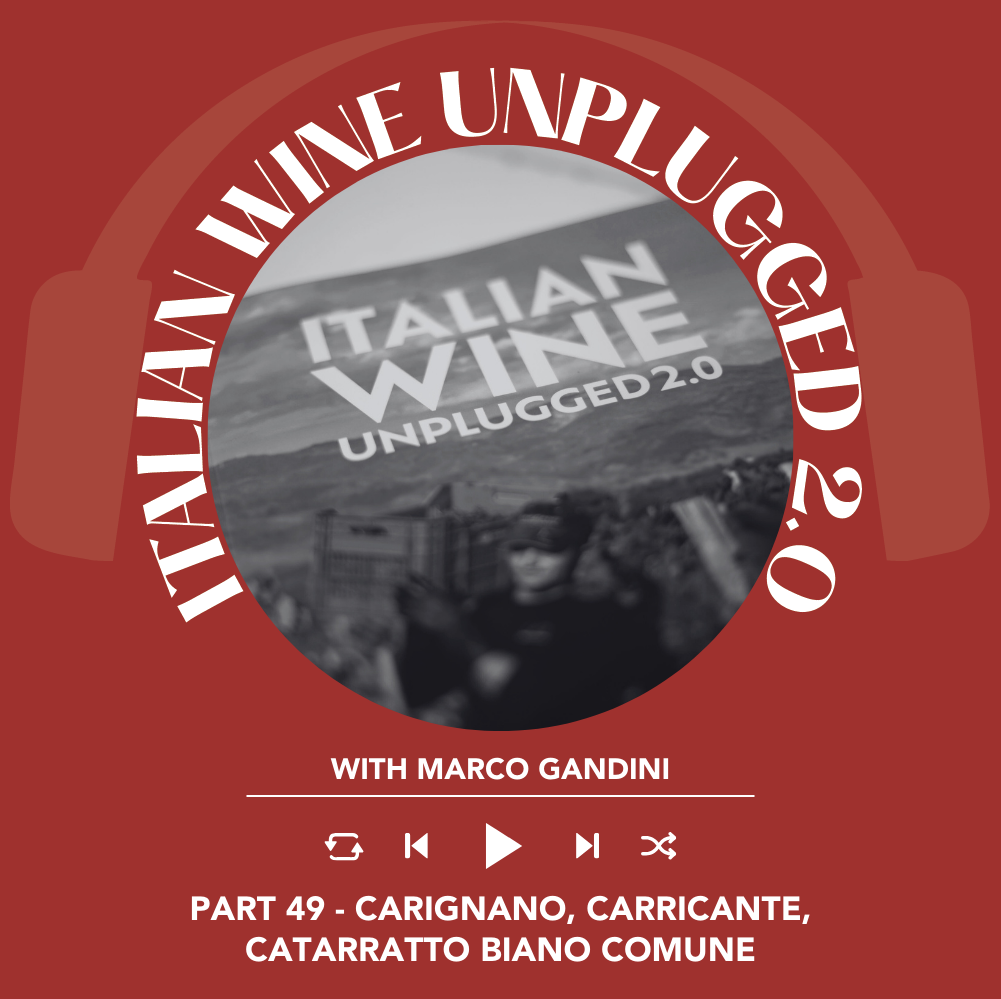 Marco Gandini Narrates Pt. 49 | Italian Wine Unplugged 2.0