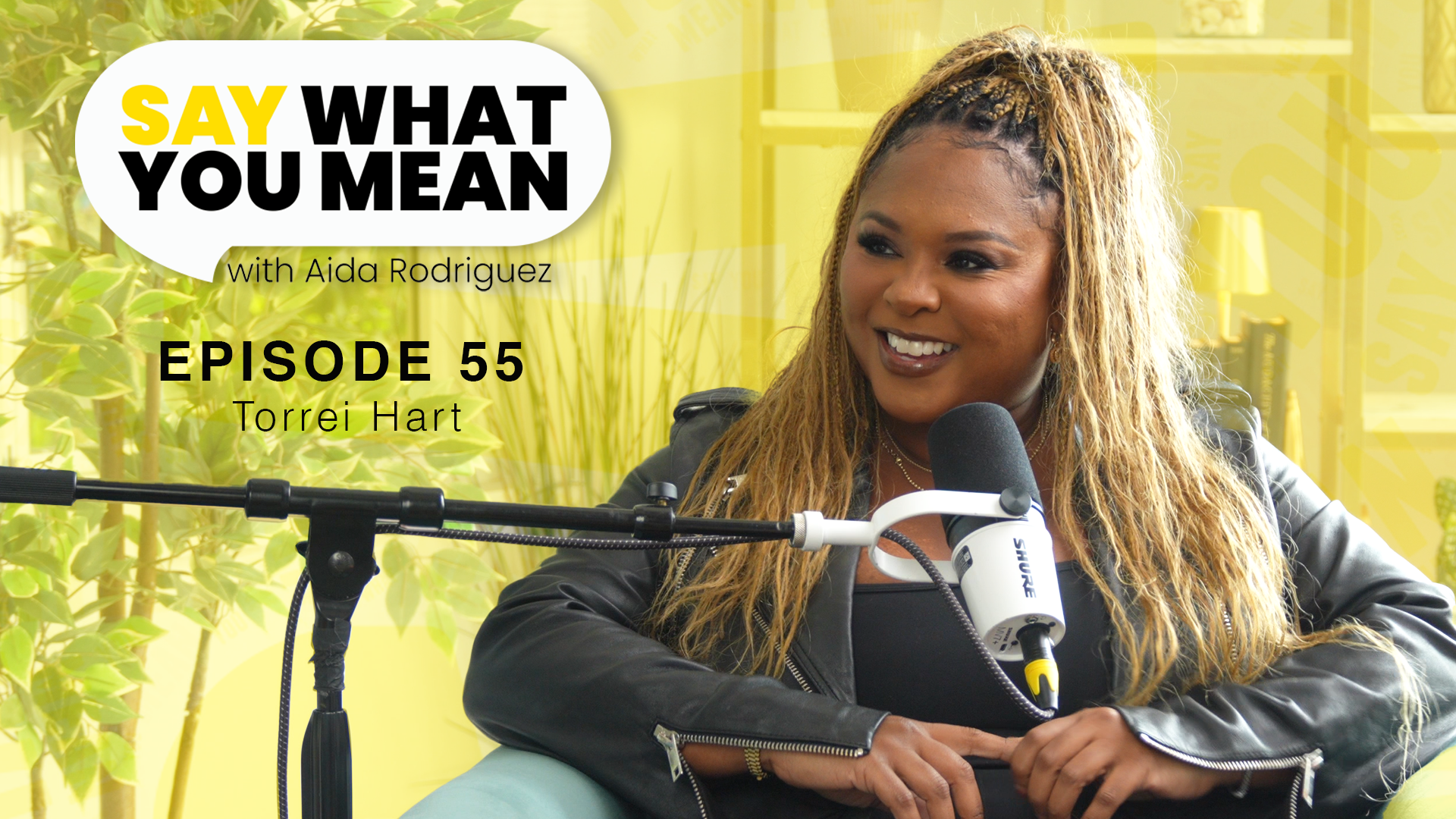 Say What You Mean with Aida Rodriguez