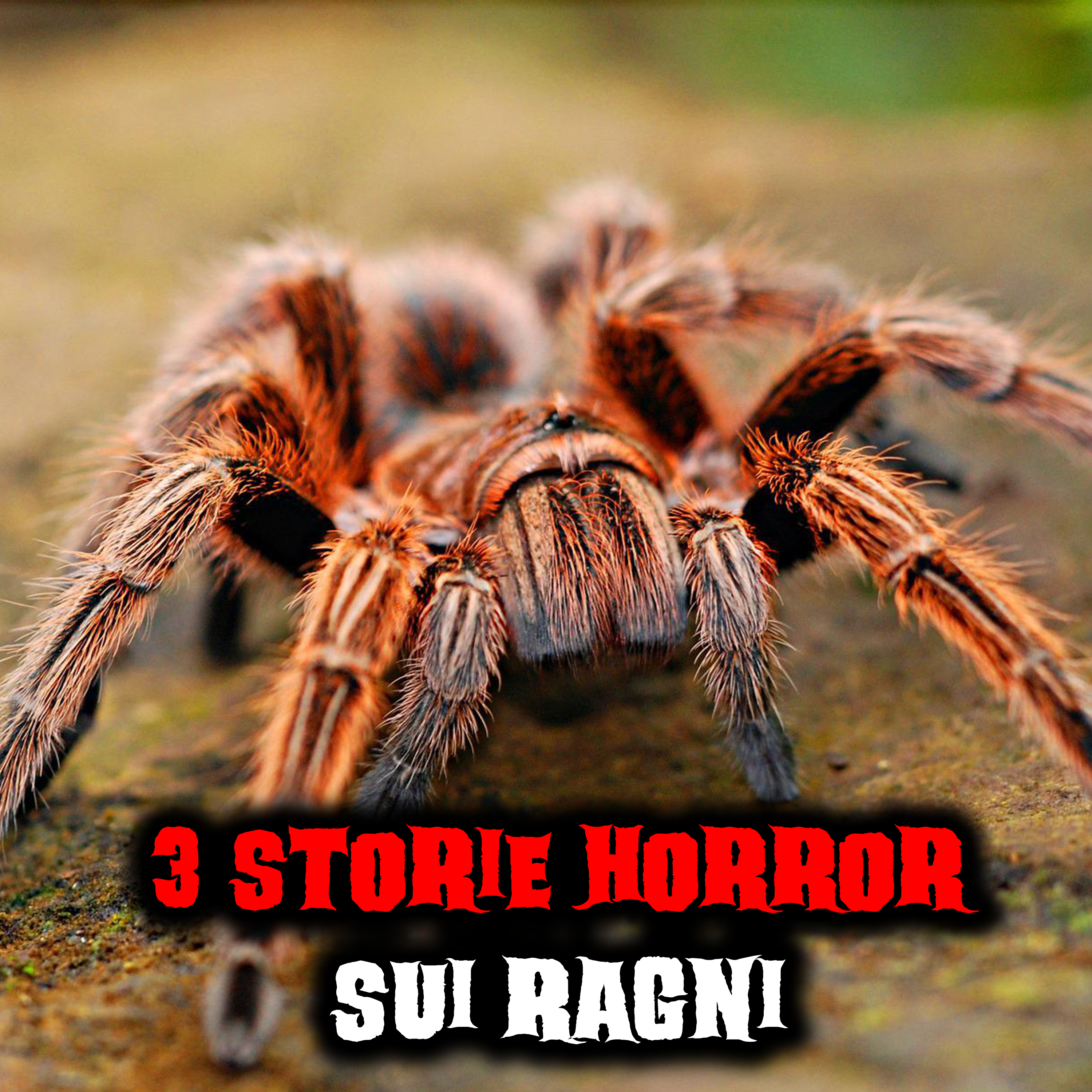 3 Storie Horror sui Ragni episode artwork