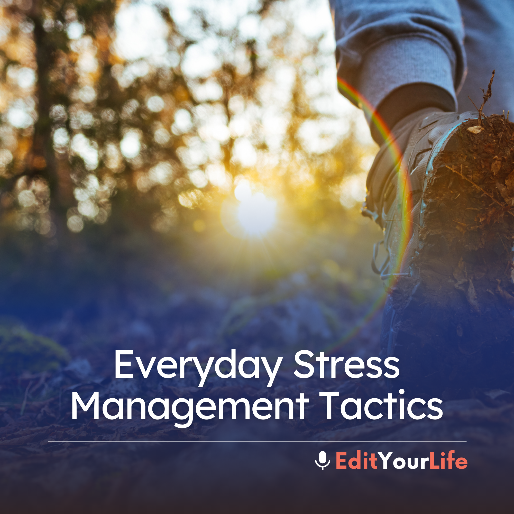 Everyday Stress Management Tactics