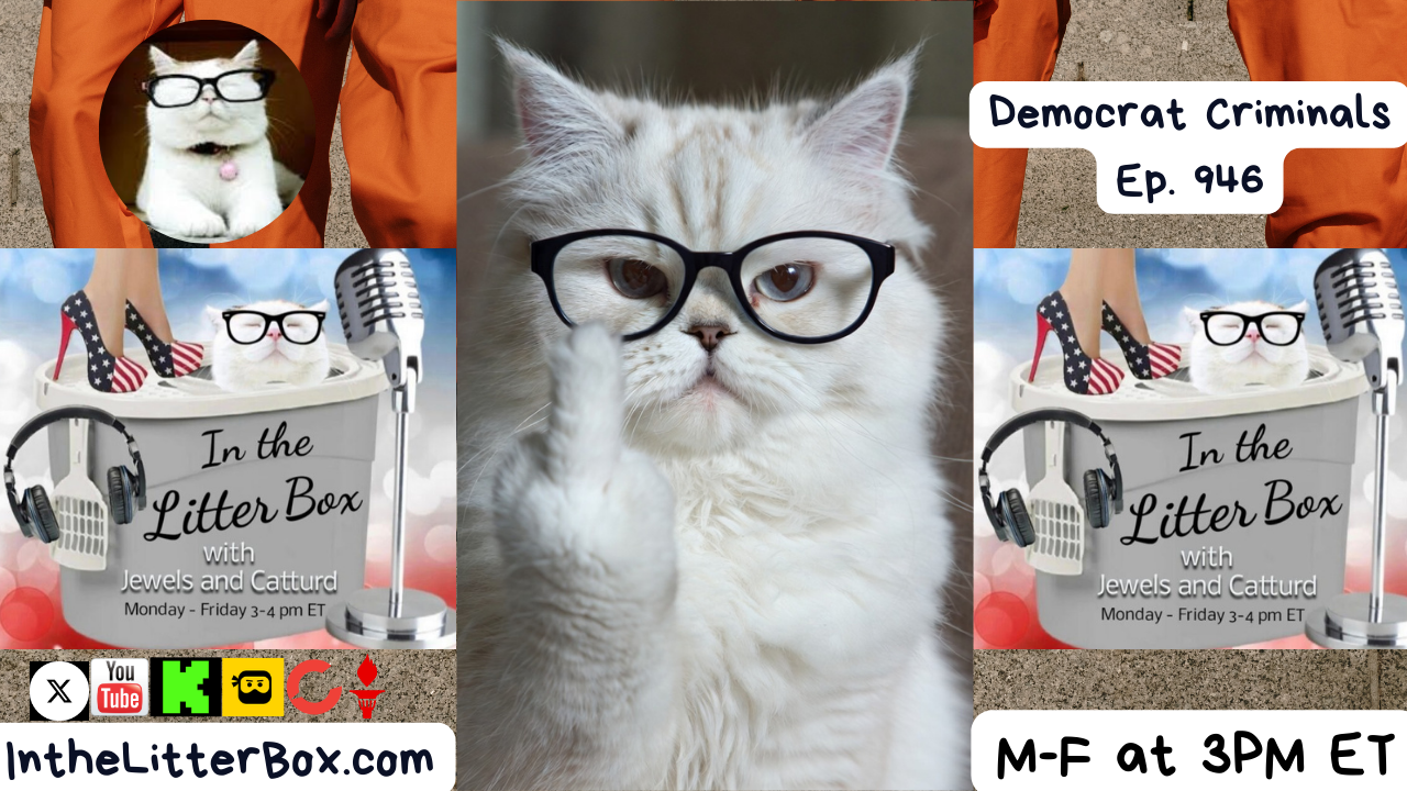 Democrat Criminals | In the Litter Box w/ Jewels & Catturd – Ep. 946 – 1/9/2026