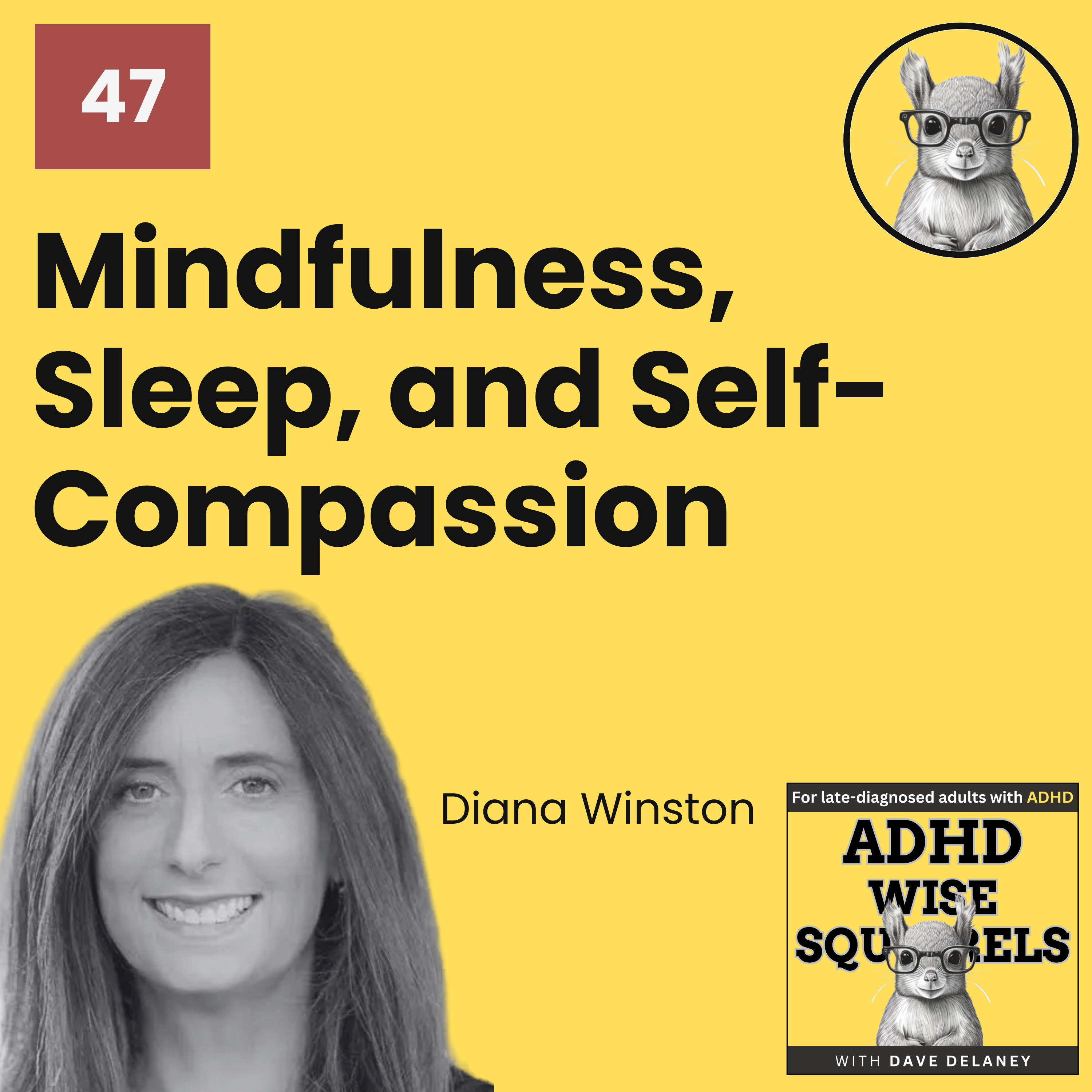 ADHD Wise Squirrels for late-diagnosed adults with ADHD.