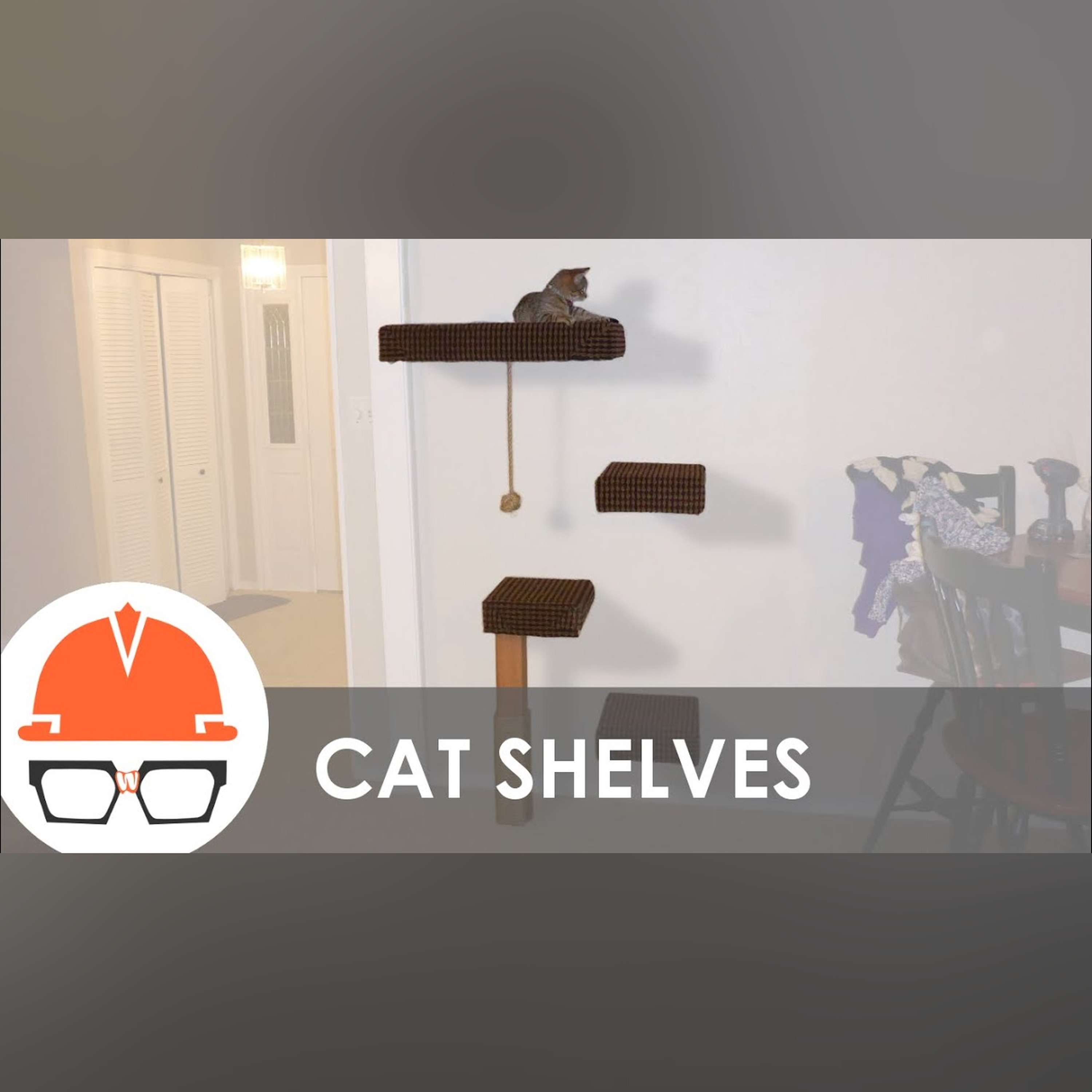How to build a wall-mounted cat tree