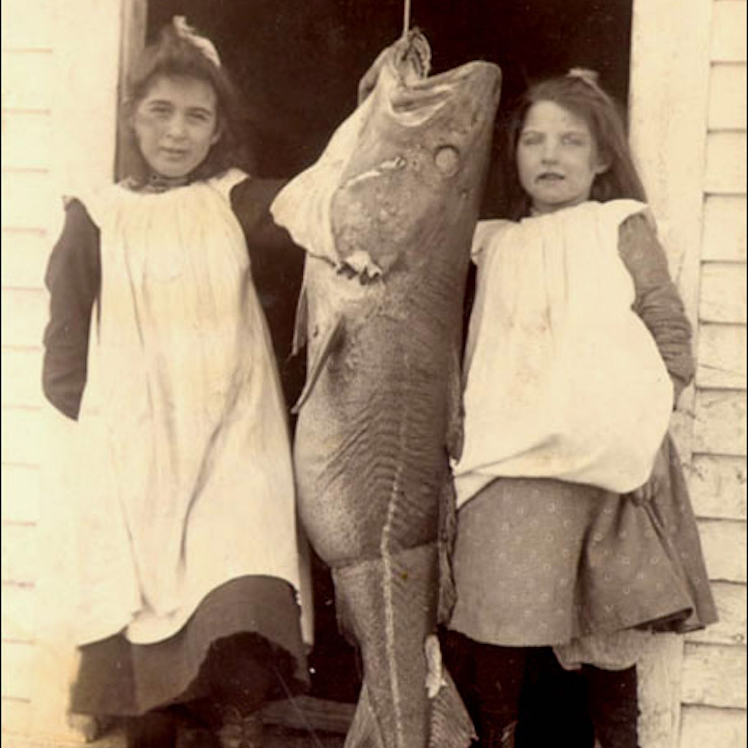 Cod Sounds, Goose Tongue, & Lion's Teeth: A Culinary Journey Through Newfoundland with Lori McCarthy