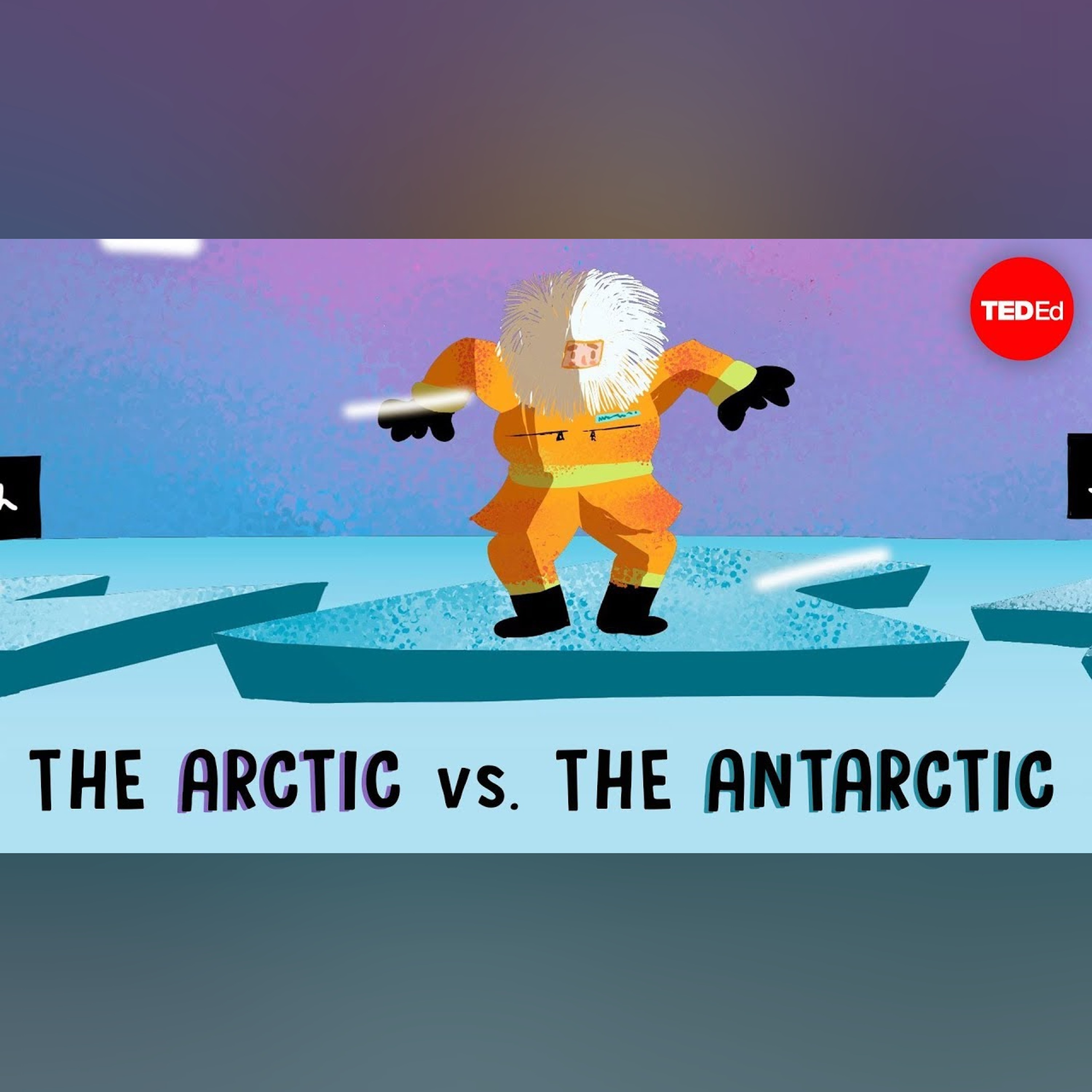 The Arctic vs. the Antarctic - Camille Seaman
