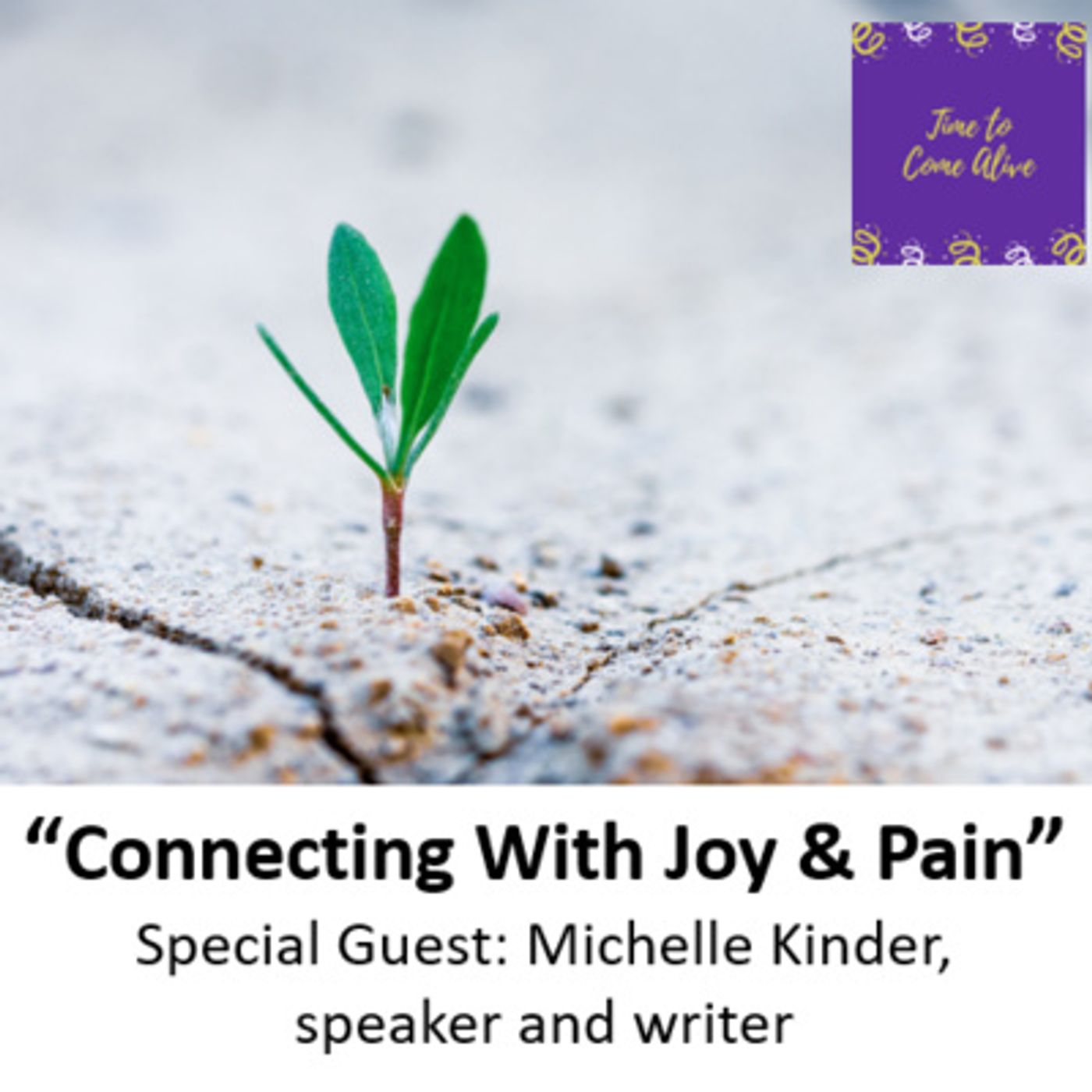 Ep. 45 - Time to Come Alive: "Connecting with Grief & Joy" with special guest: Michelle Kinder, speaker and writer episode artwork