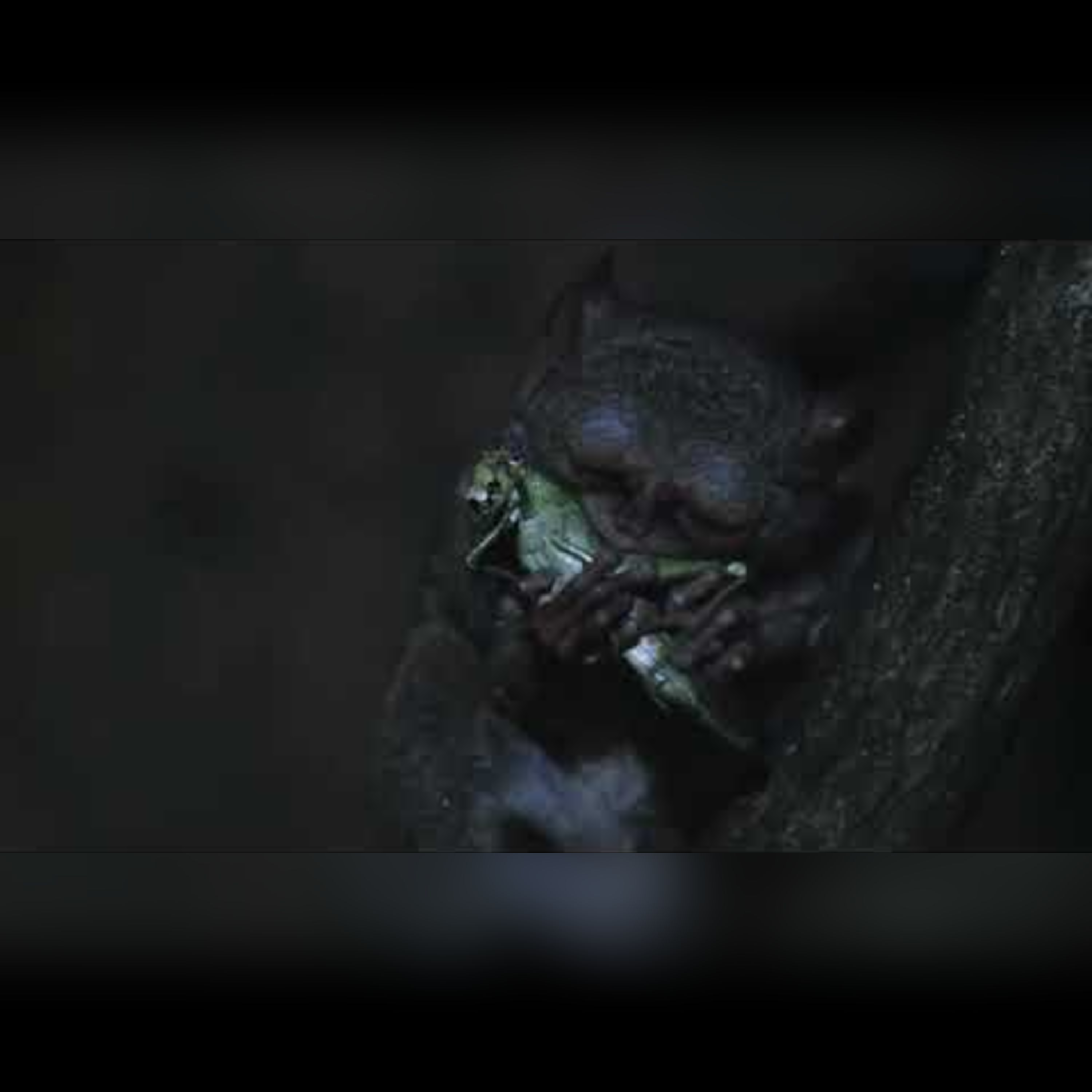Exploring Extreme Nocturnal Animal Senses episode artwork