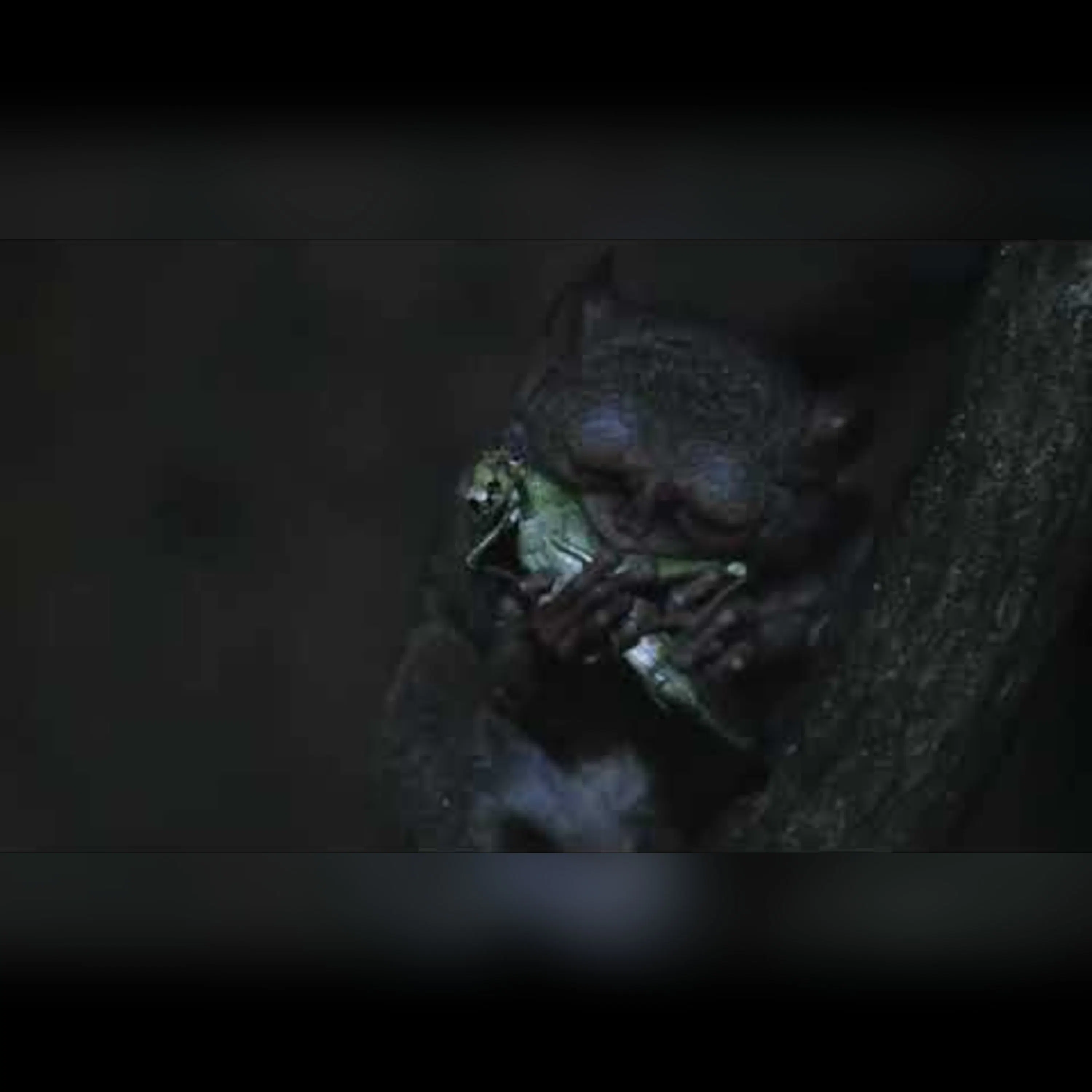 Exploring Extreme Nocturnal Animal Senses episode artwork