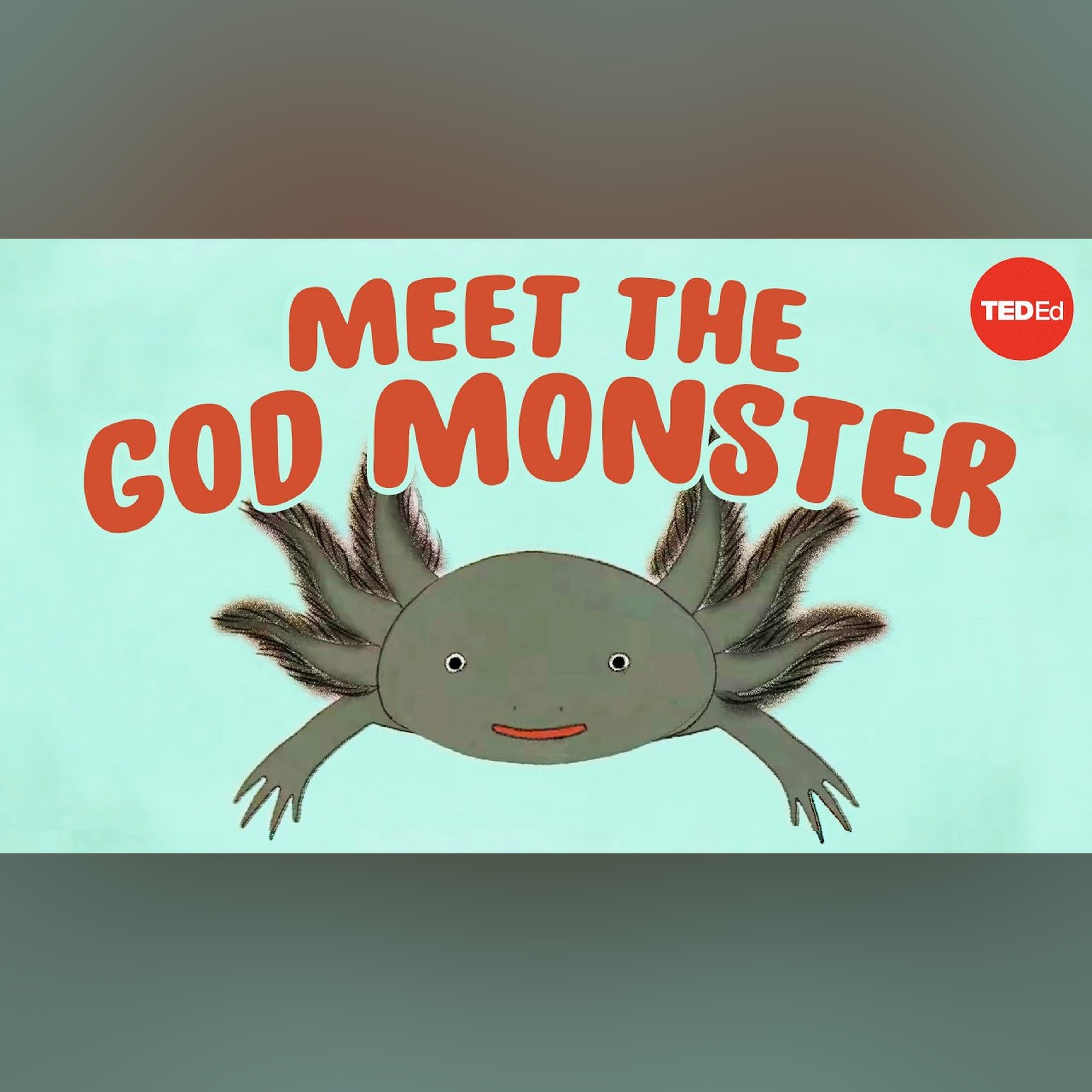 Axolotls: The salamanders that snack on each other (but don't die) - Luis Zambrano