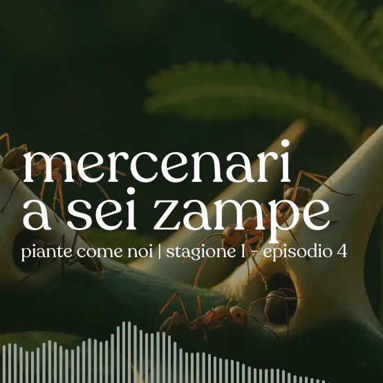 Mercenari a sei zampe - Stagione 1 | Episodio 4 episode artwork