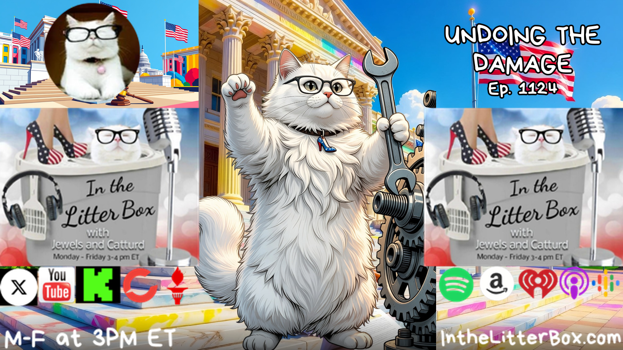 UNDOING THE DAMAGE | In the Litter Box w/ Jewels & Catturd – Ep. 1124 – 10/27/2026 episode artwork