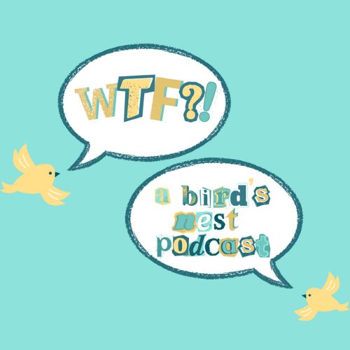 Episode 1: What The Flock Am I Doing With My Life?!