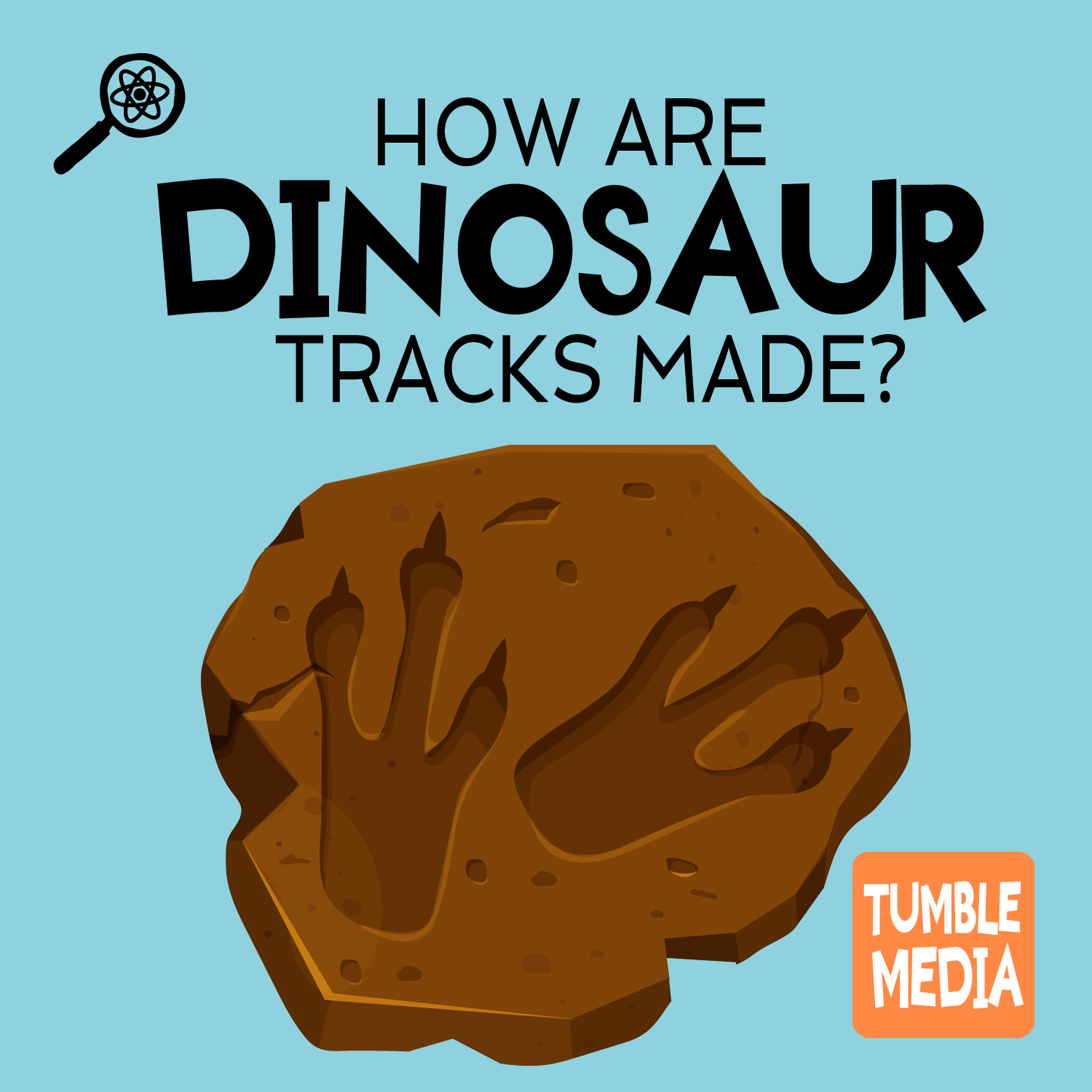 How Were Dinosaur Tracks Made?