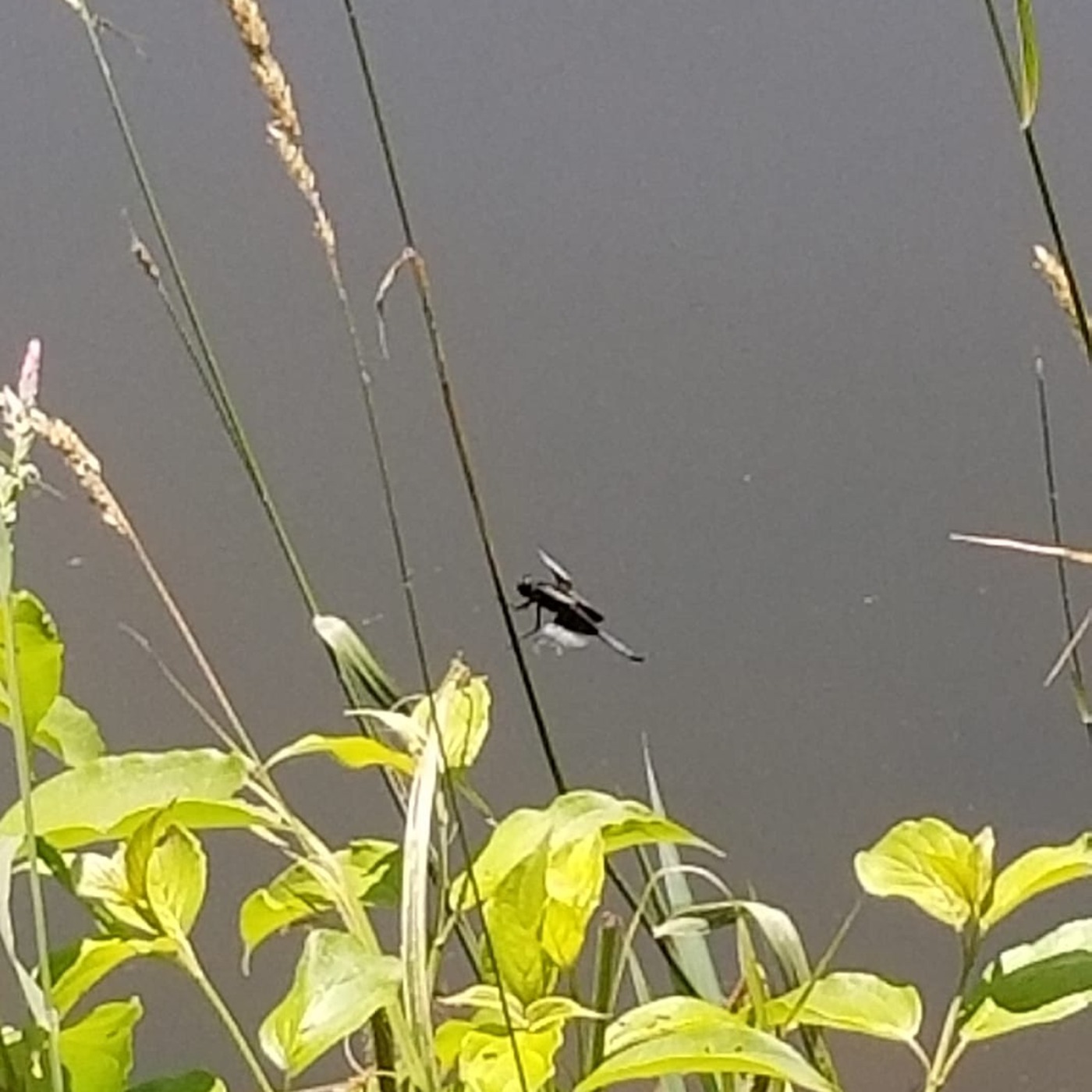 Troubadours and Raconteurs with E.W. Conundrum Demure - Conversation, Essays, Poetry & Music.