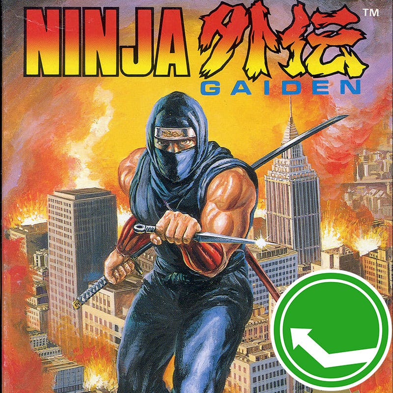 #234 | Ninja Gaiden (NES)