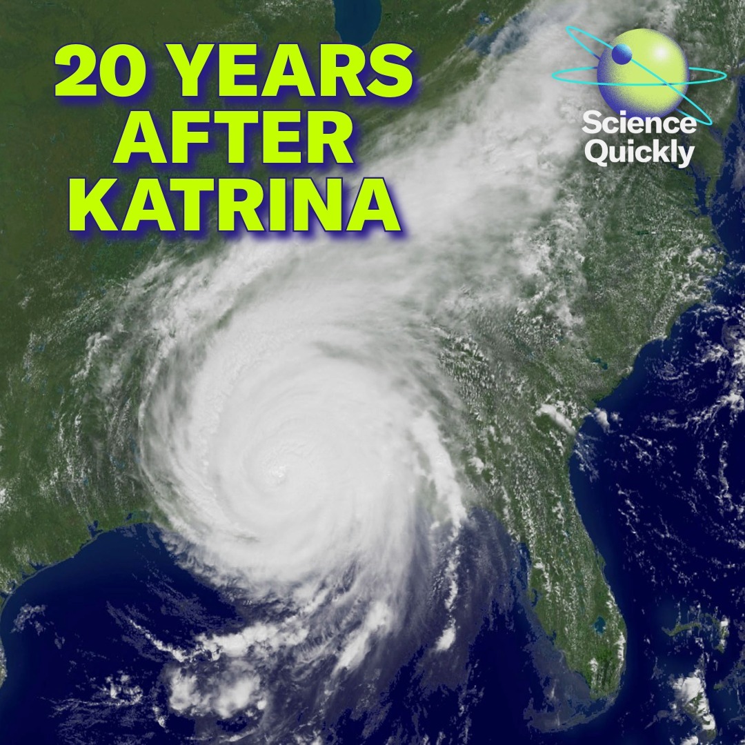 Katrina Was Predicted: Revisiting Warning Signs 20 Years Later