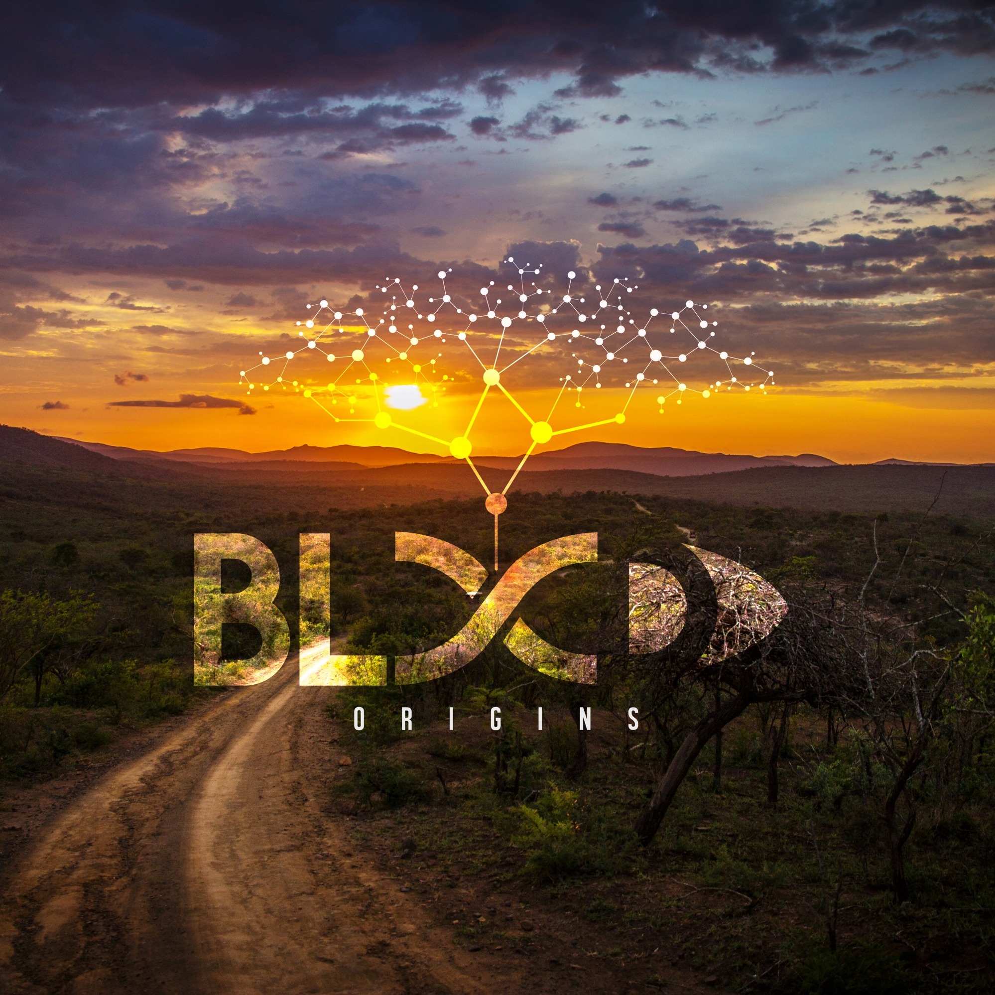 Wild Fish and Game Podcast