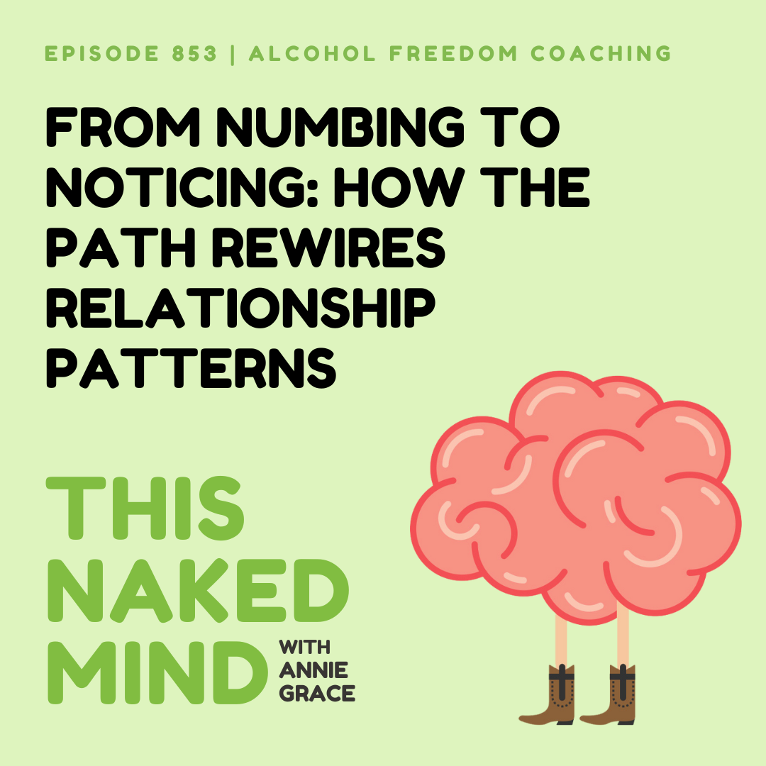 From Numbing to Noticing: How The Path Rewires Relationship Patterns | Alcohol Freedom Coaching | E853