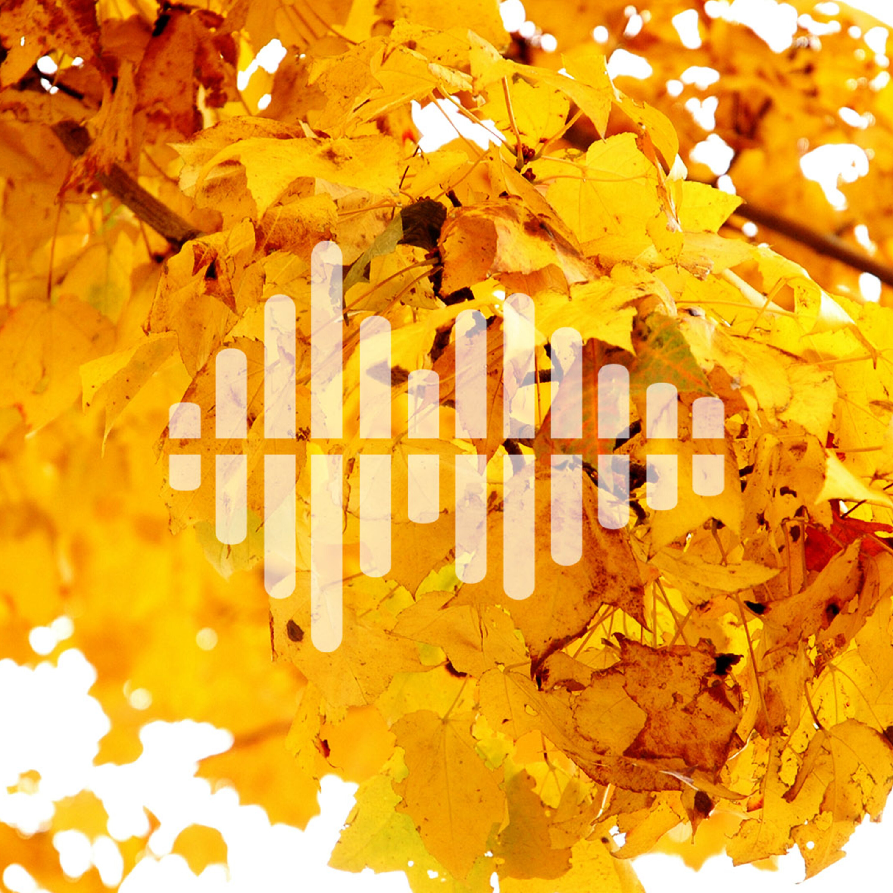 Science Magazine Podcast