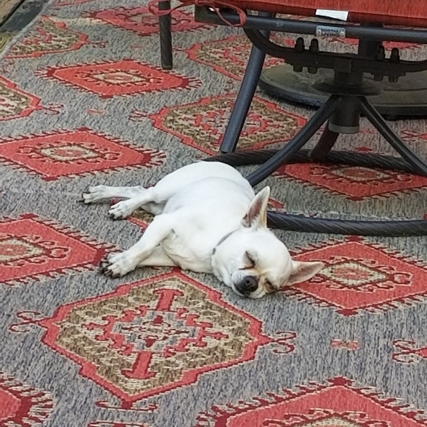 Troubadours and Raconteurs with E.W. Conundrum Demure - Conversation, Essays, Poetry & Music.