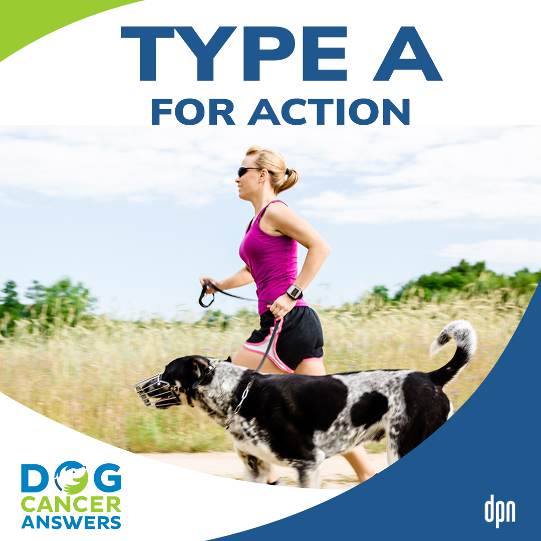 How Type A for Action Treats Dog Cancer | Molly Jacobson #132