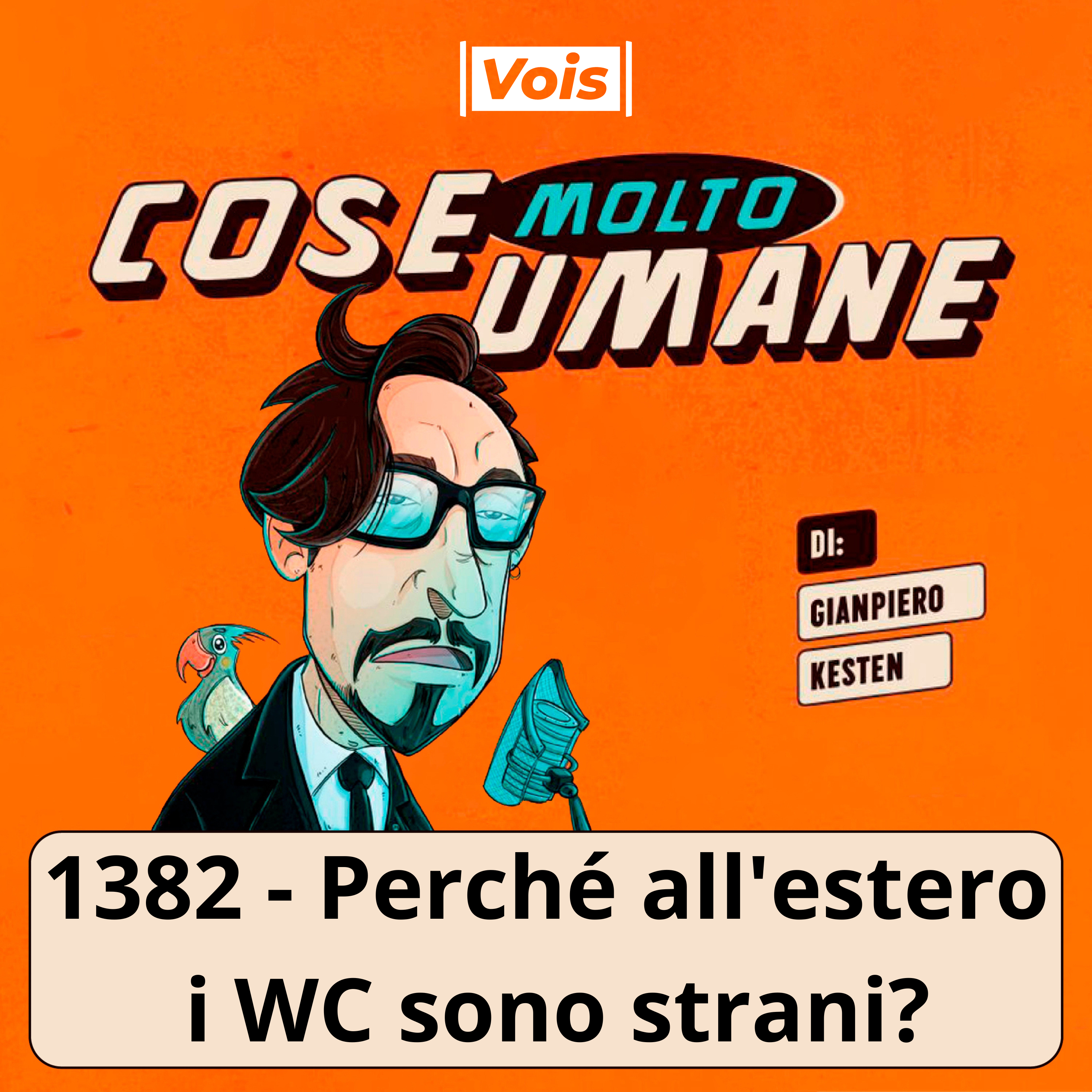 1382 - Perché all'estero i WC sono strani?
