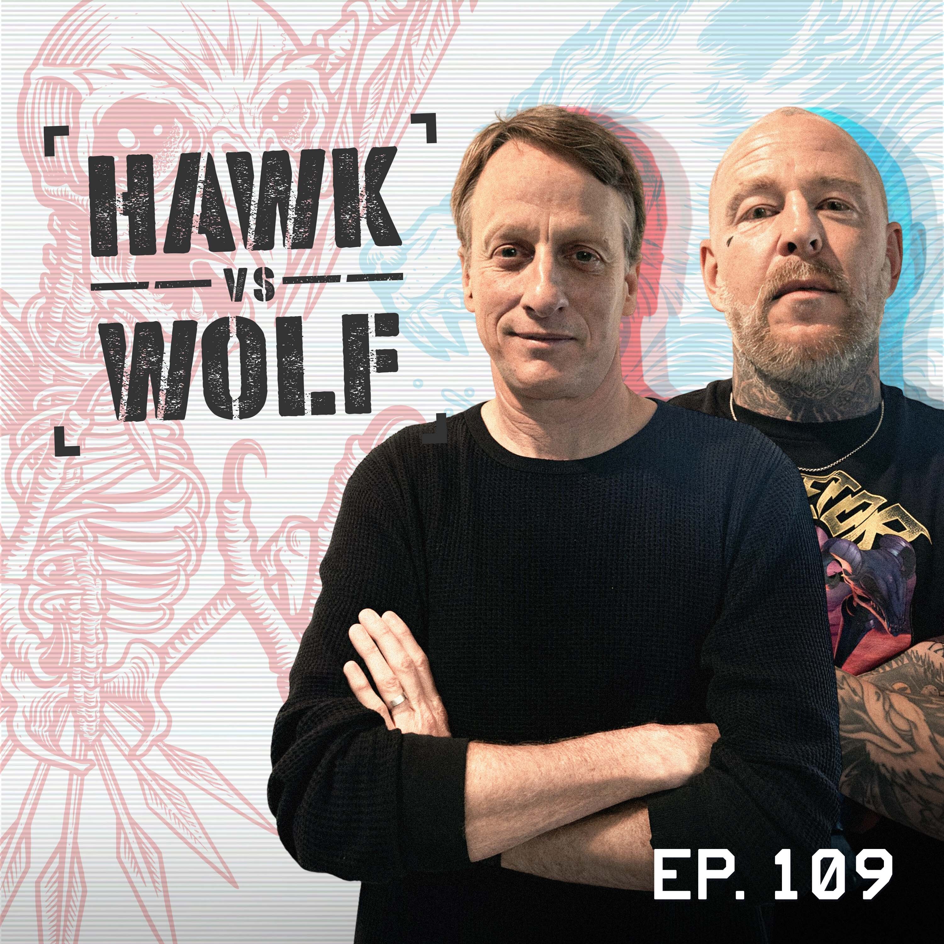 Hawk vs Wolf