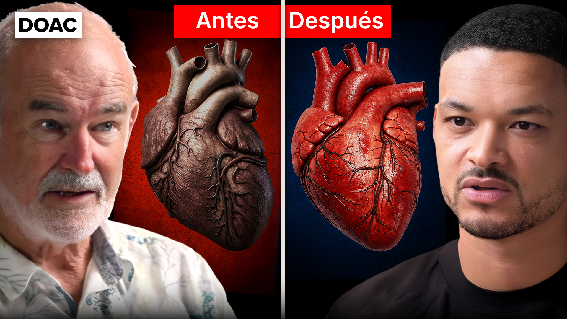 El experto n.º 1 en medicina herbal: este medicamento de venta libre te está matando en silencio… y están mintiendo sobre las plantas medicinales