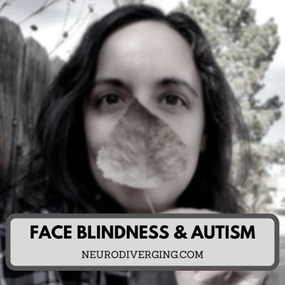 I Can't Recognize My Mother's Face: On Face Blindness and Autism