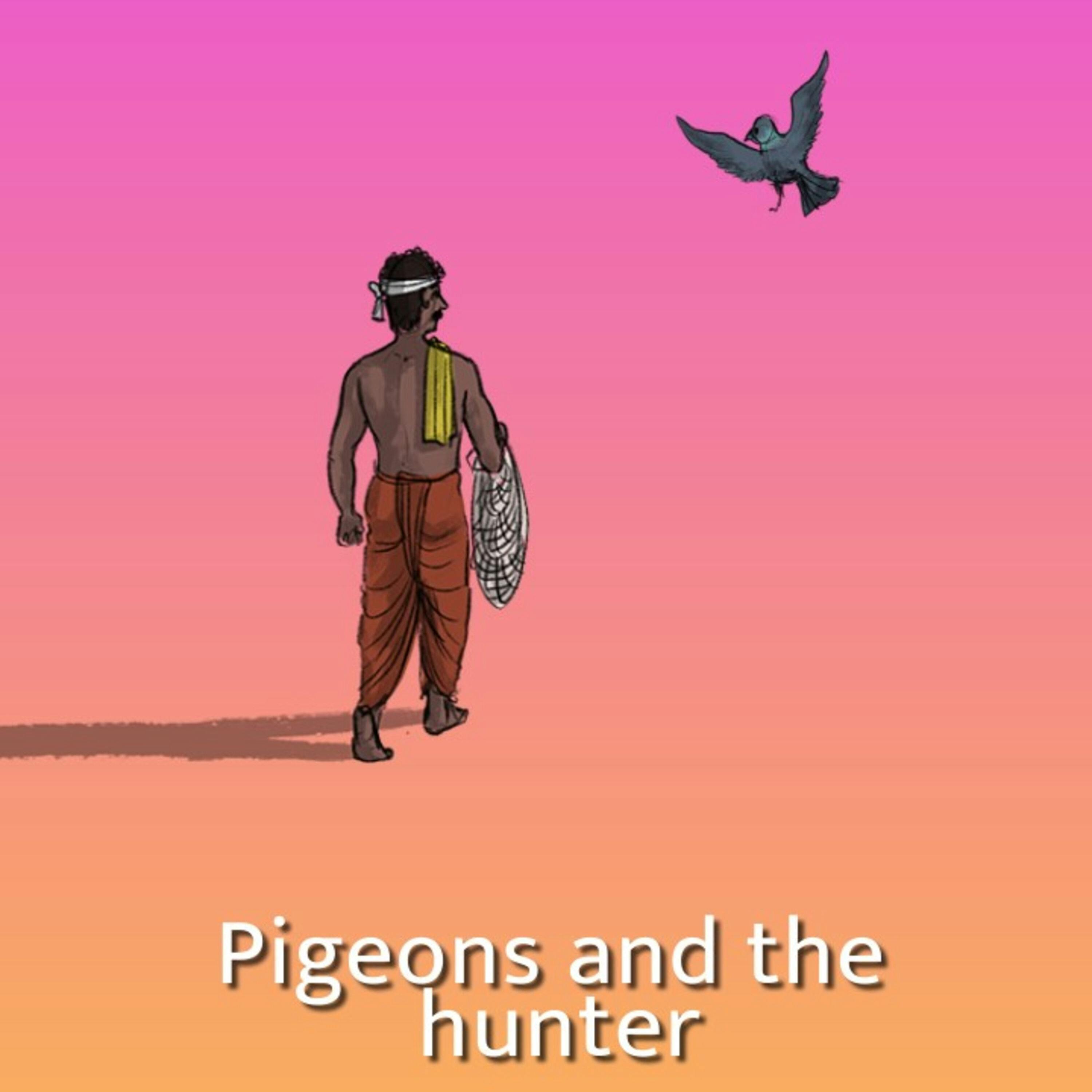 Pigeons and the hunter