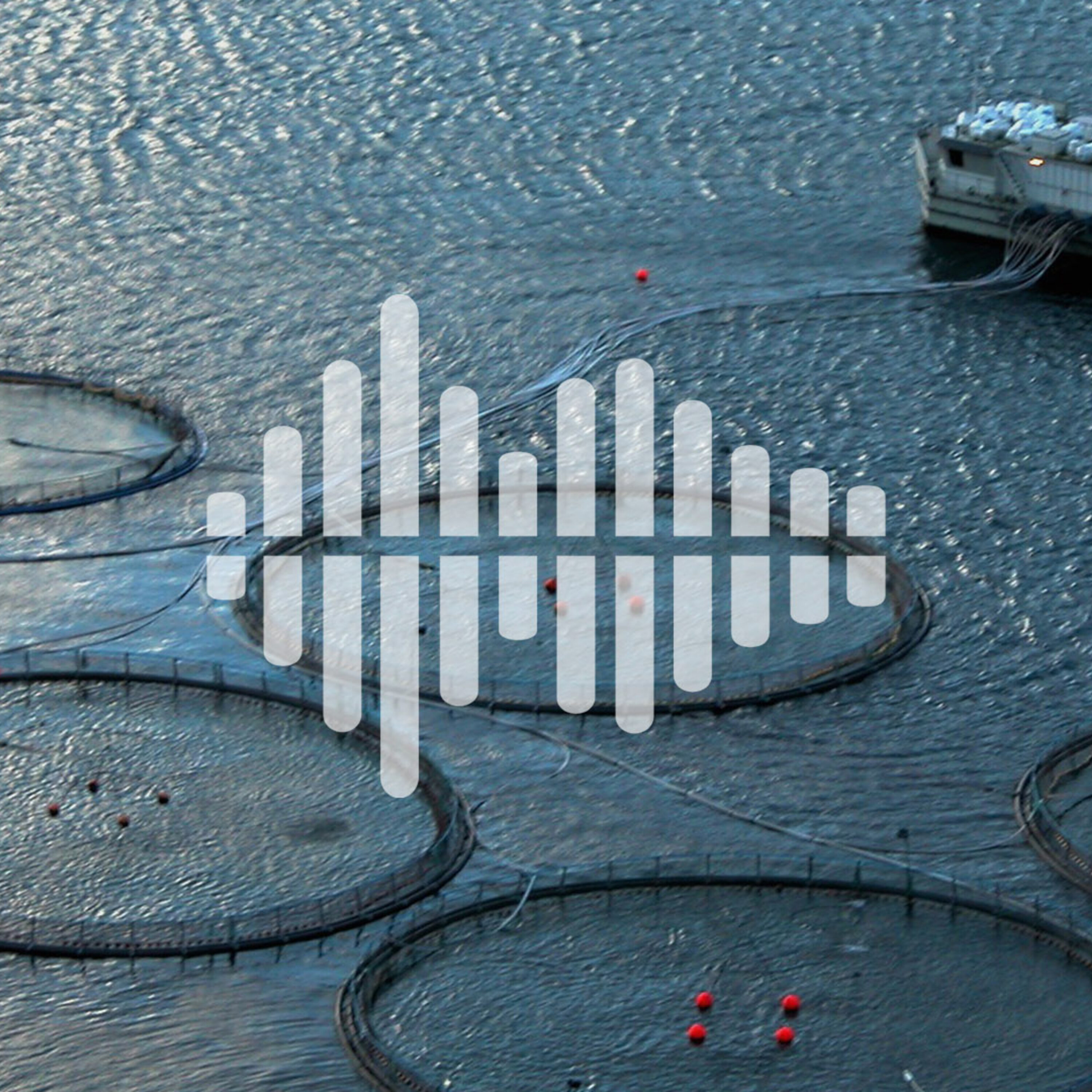 Fish farming’s future, and how microbes compete for space on our face