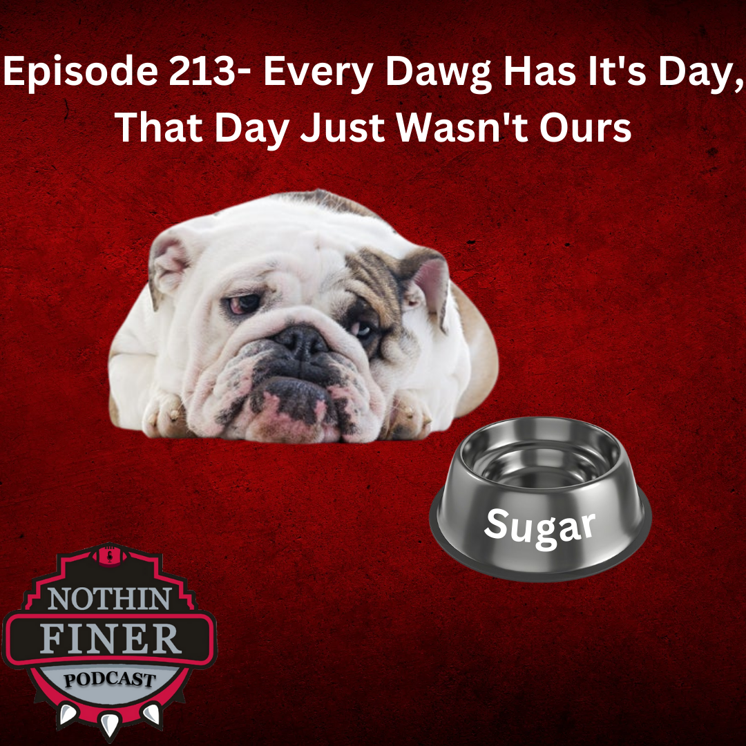 Episode 213- Every Dawg Has It's Day, That Day Just Wasn't Ours episode artwork