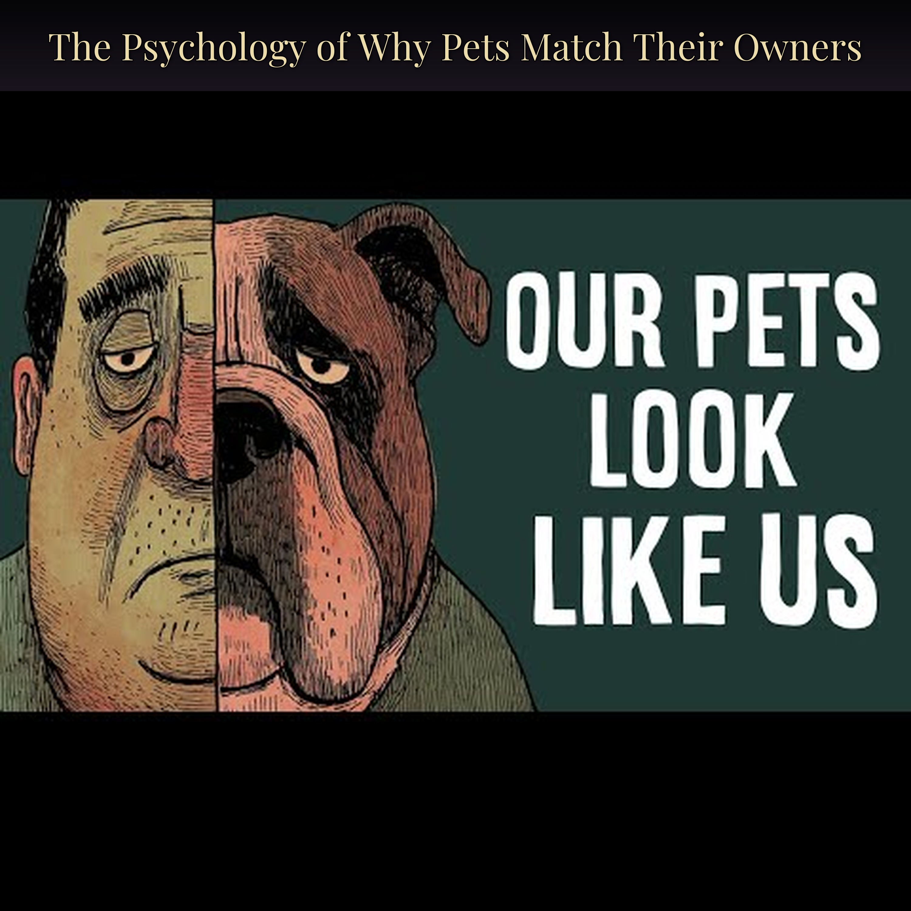The Psychology of Why Pets Match Their Owners