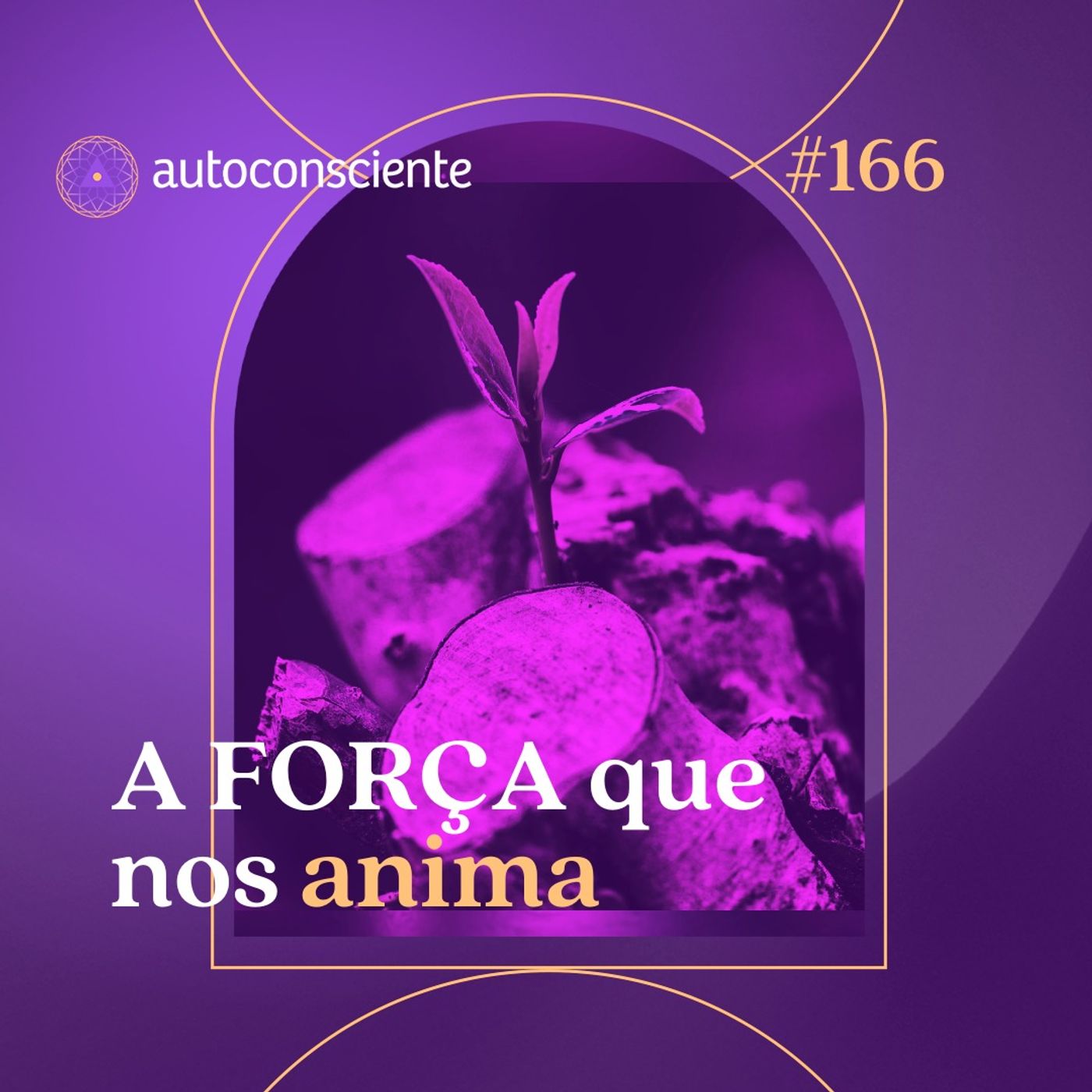 166. A Força que nos anima