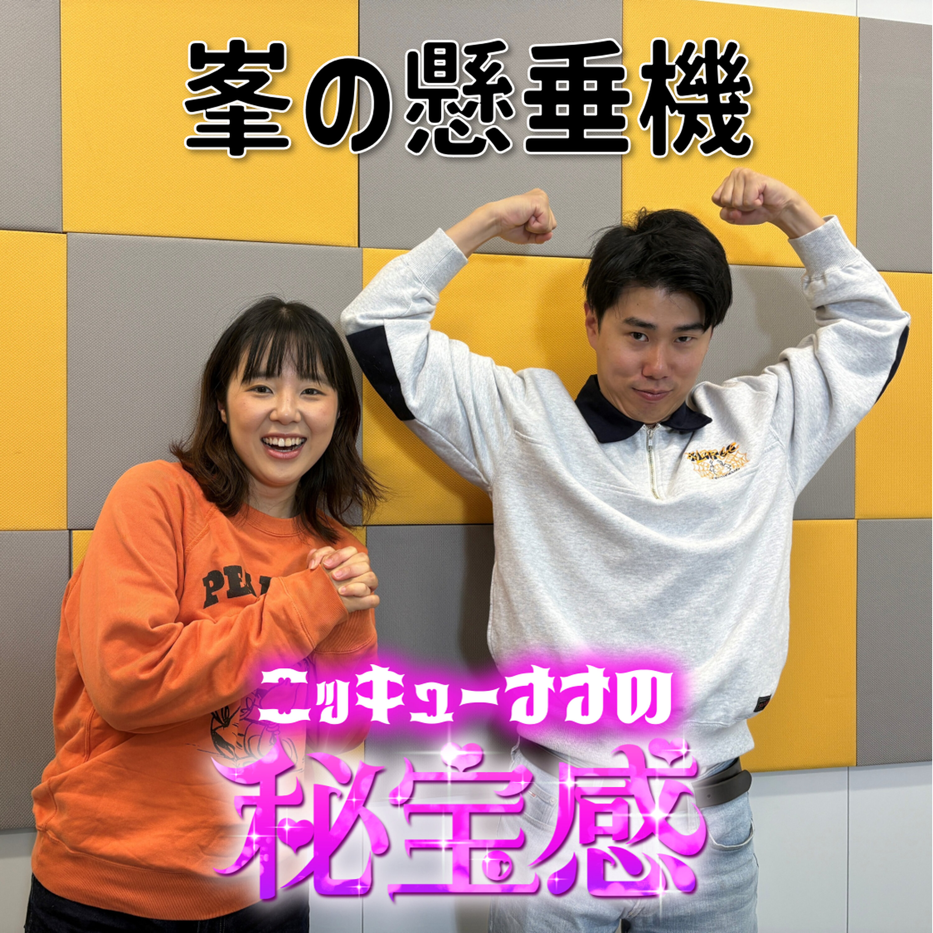 #33 「峯の懸垂機」【ニッキューナナの秘宝感20251112】 episode artwork