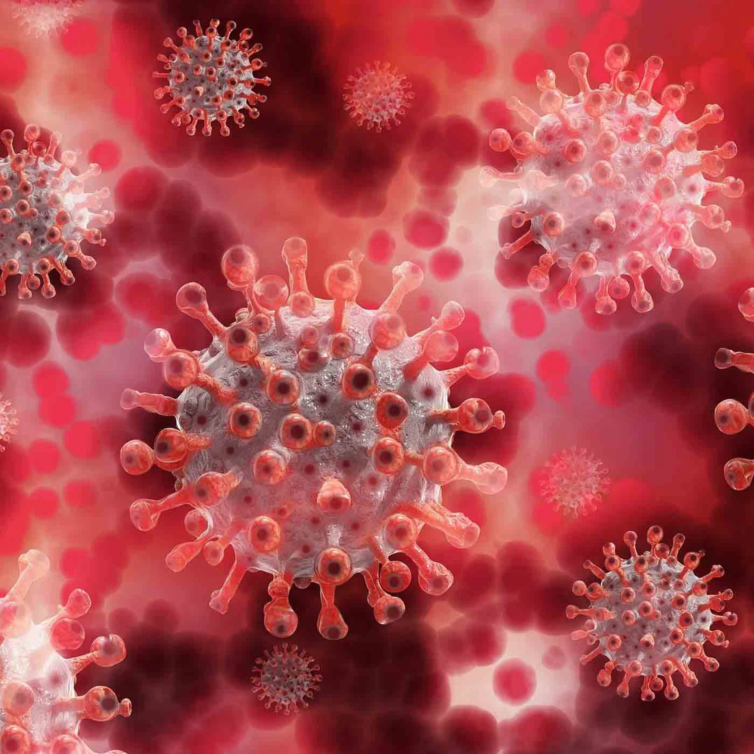 Qu'est-ce que le VOC2020 ?