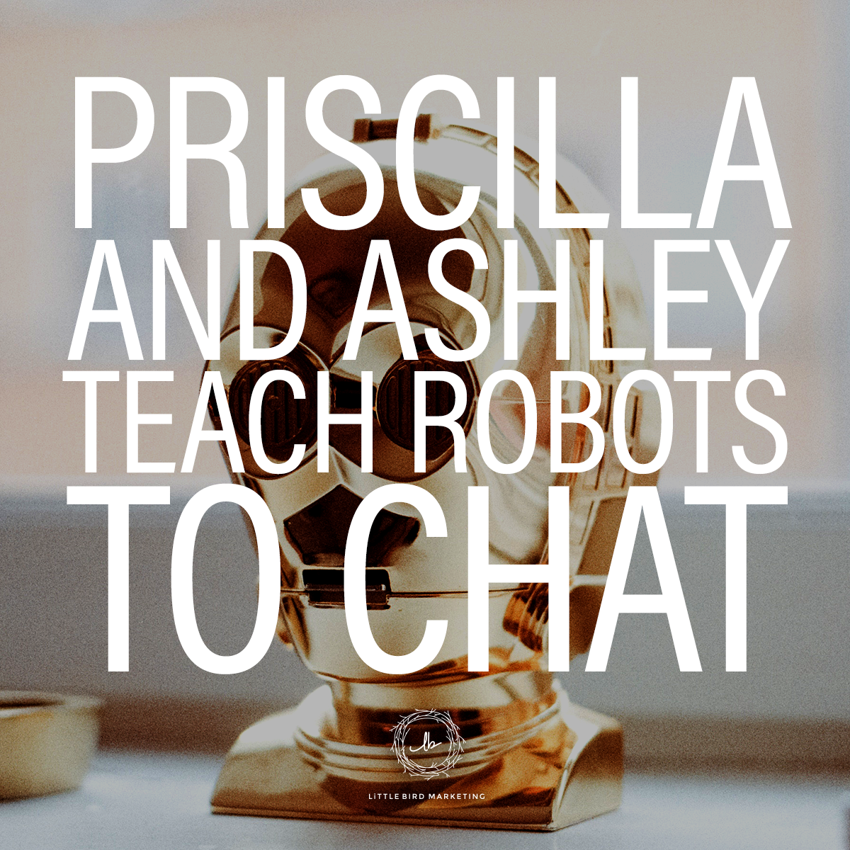 Priscilla and Ashley Teach Robots to Chat episode artwork